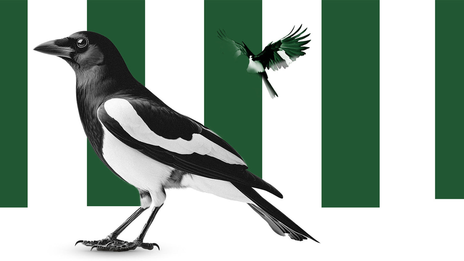 Newcastle United and Fenwick