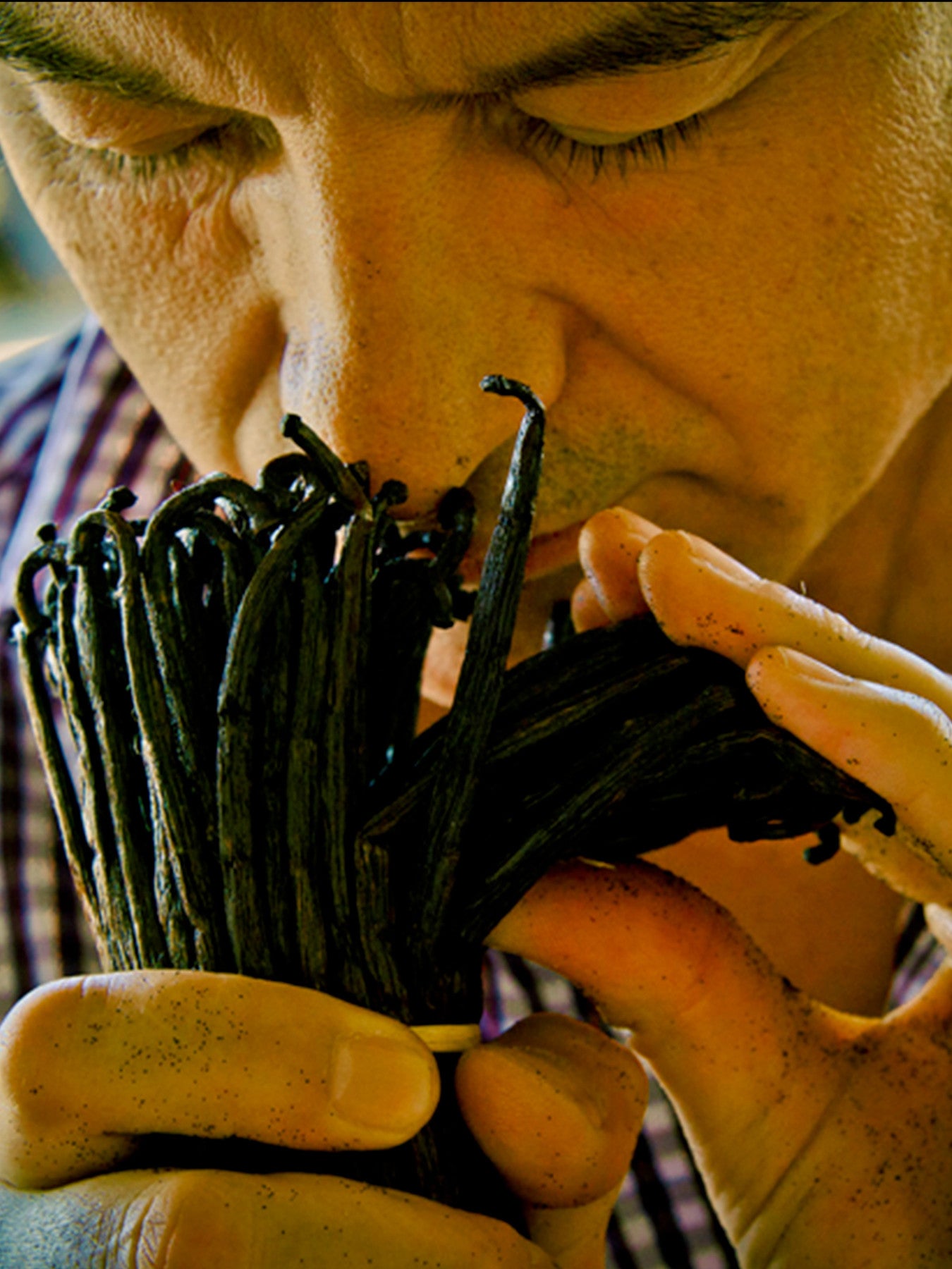 Shalimar Eau de Toilette 90ml