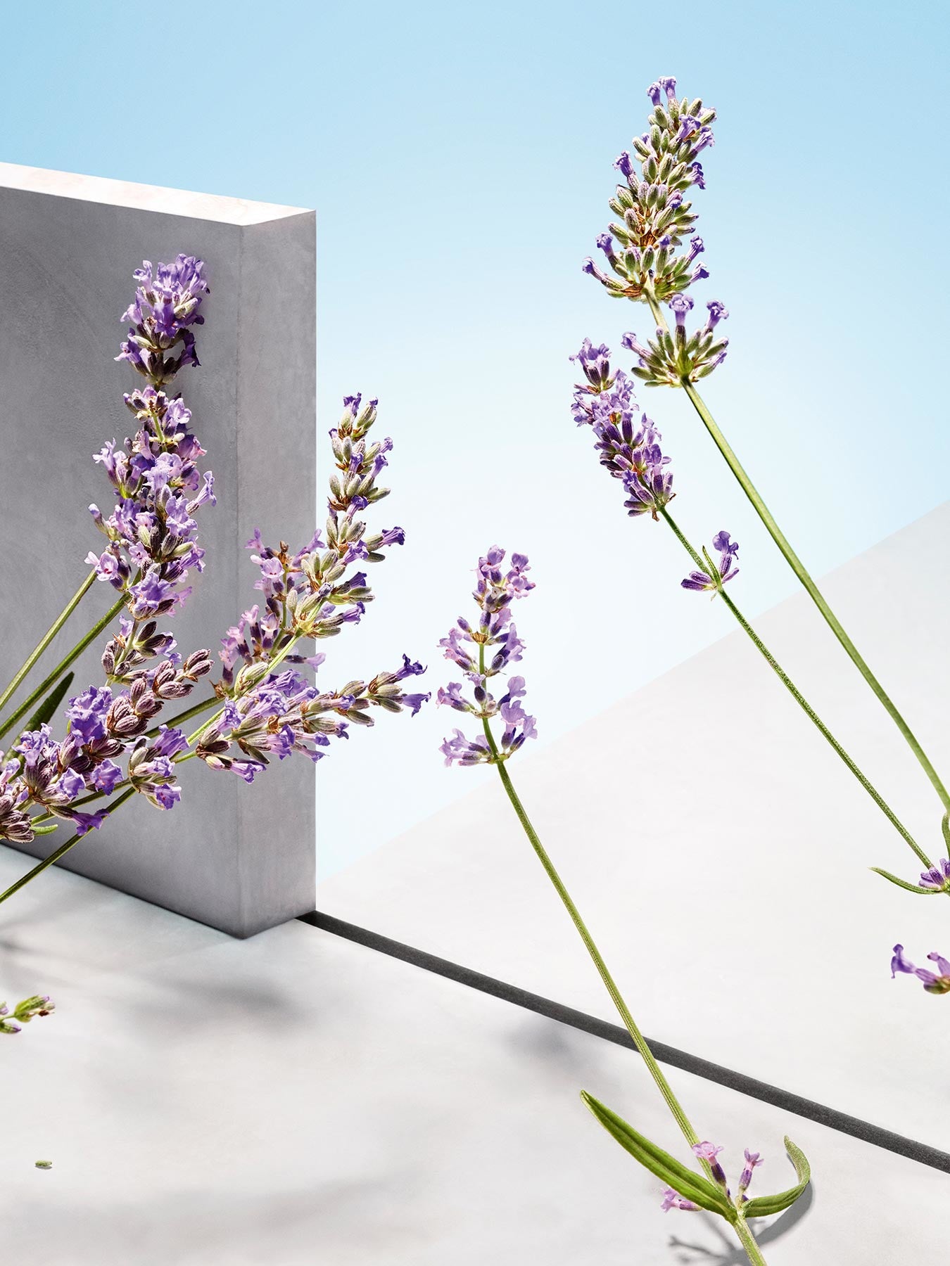 HUGO Man Eau de Toilette 125ml