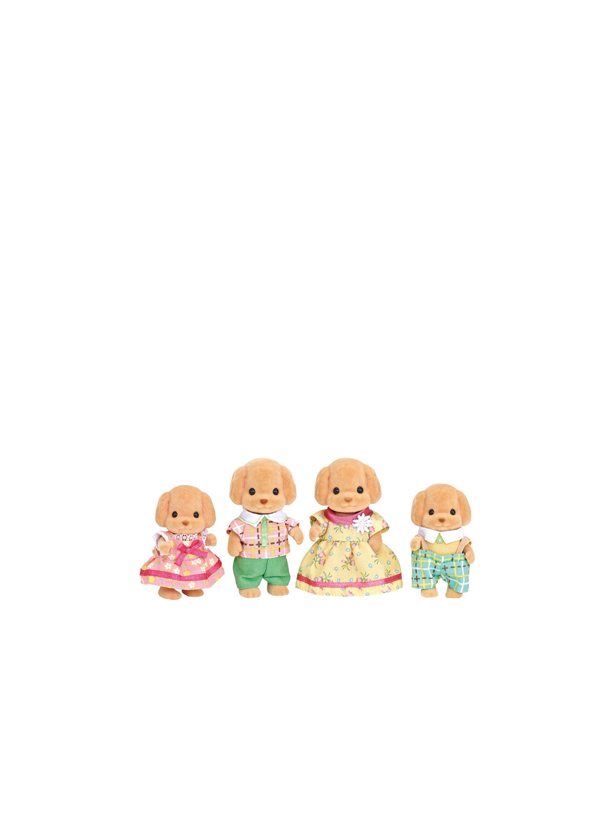 Toy Poodle Family