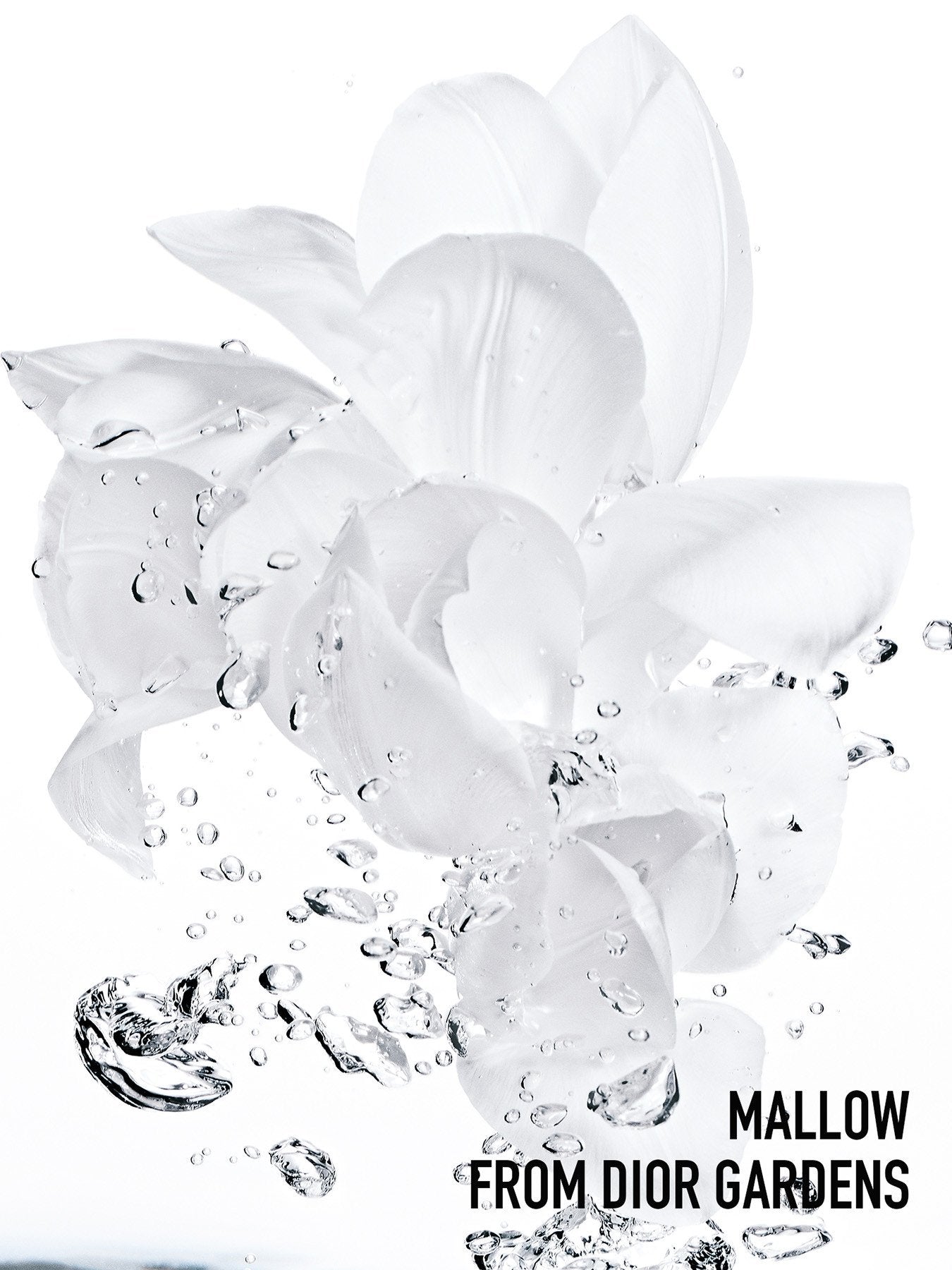 Hydra Life Cooling Hydration Sorbet Eye Gel 15ml