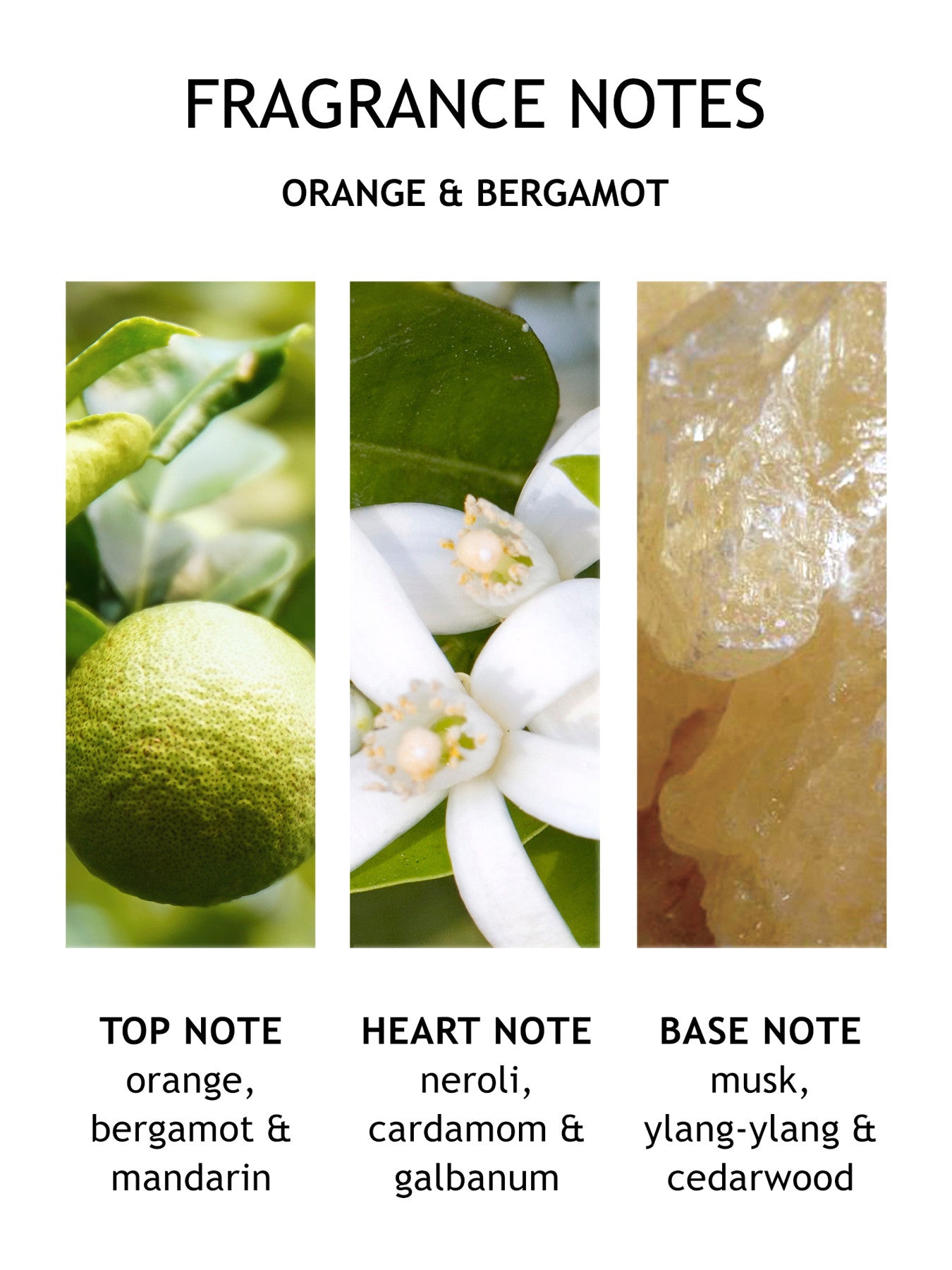 Orange Bergamot Bath Shower Gel 300ml