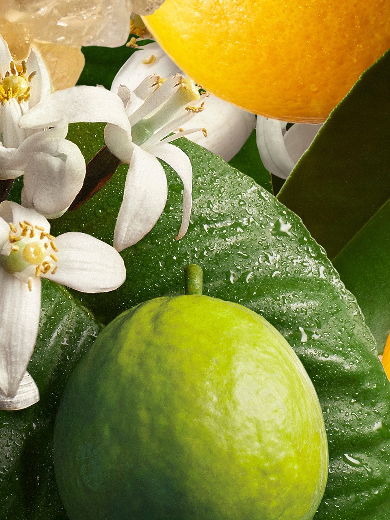 Orange Bergamot Bath Shower Gel 300ml