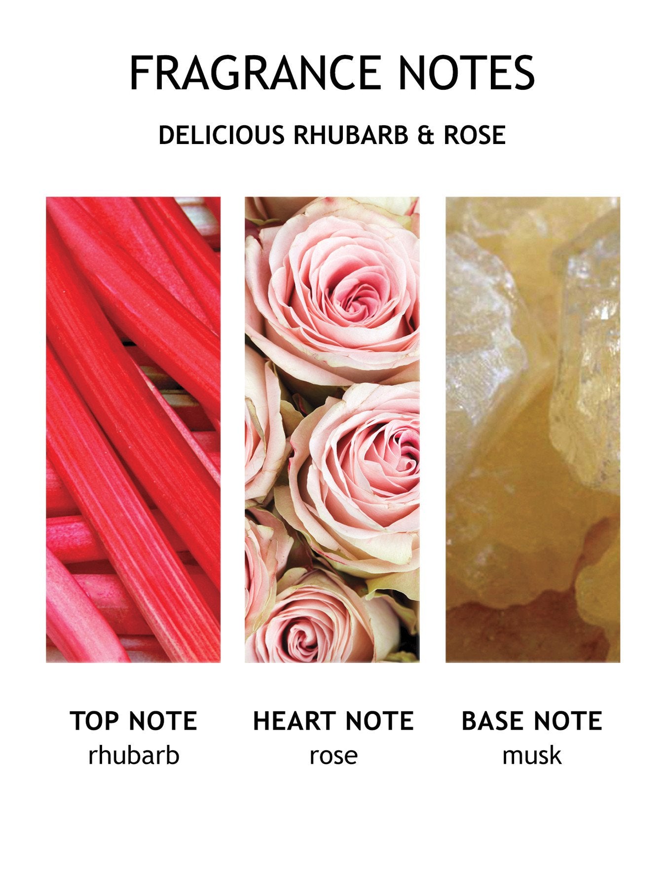 Delicious Rhubarb Rose Hand Cream 40ml