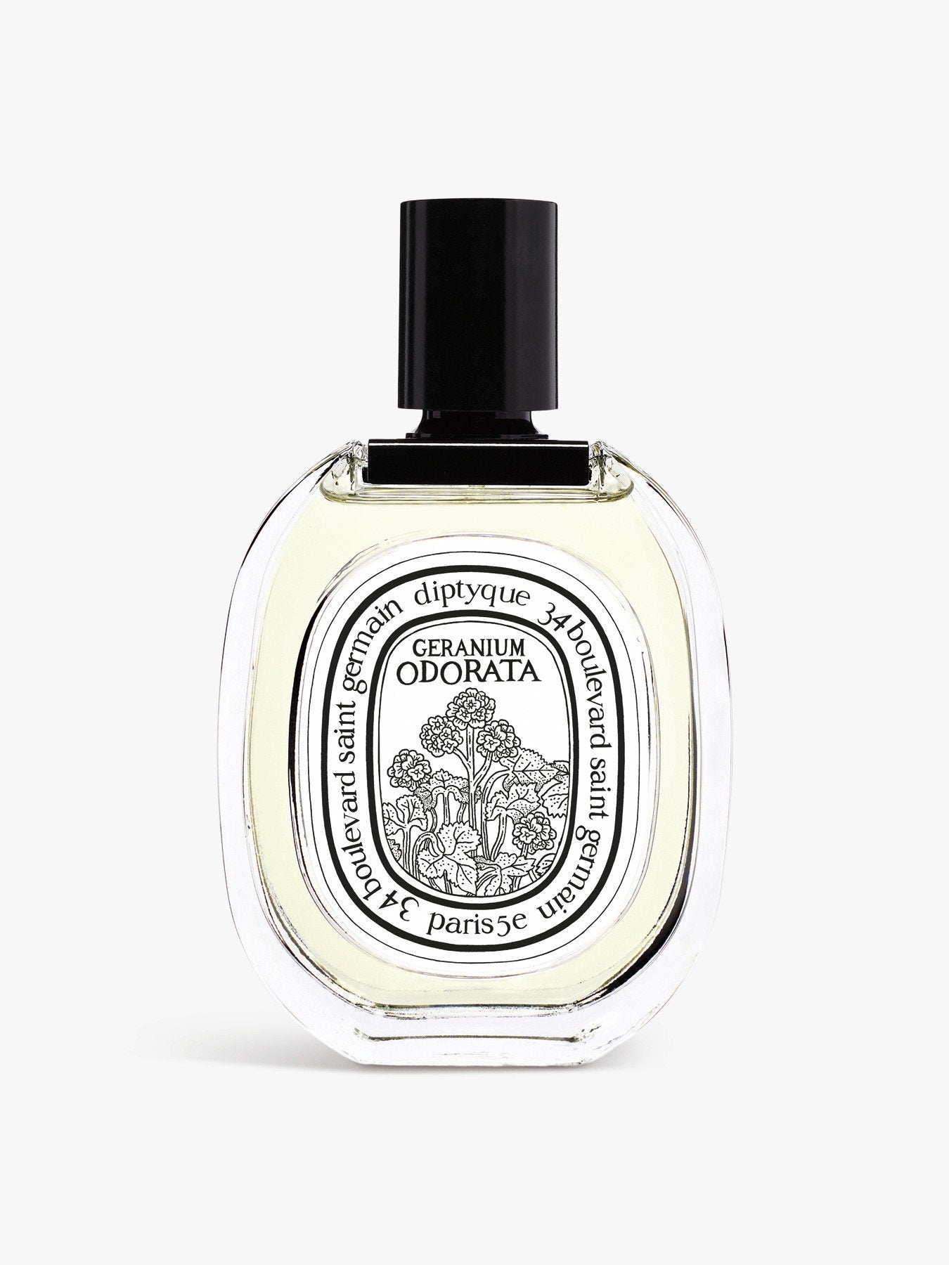 Geranium Odorata Eau de Toilette 100ml – Fenwick