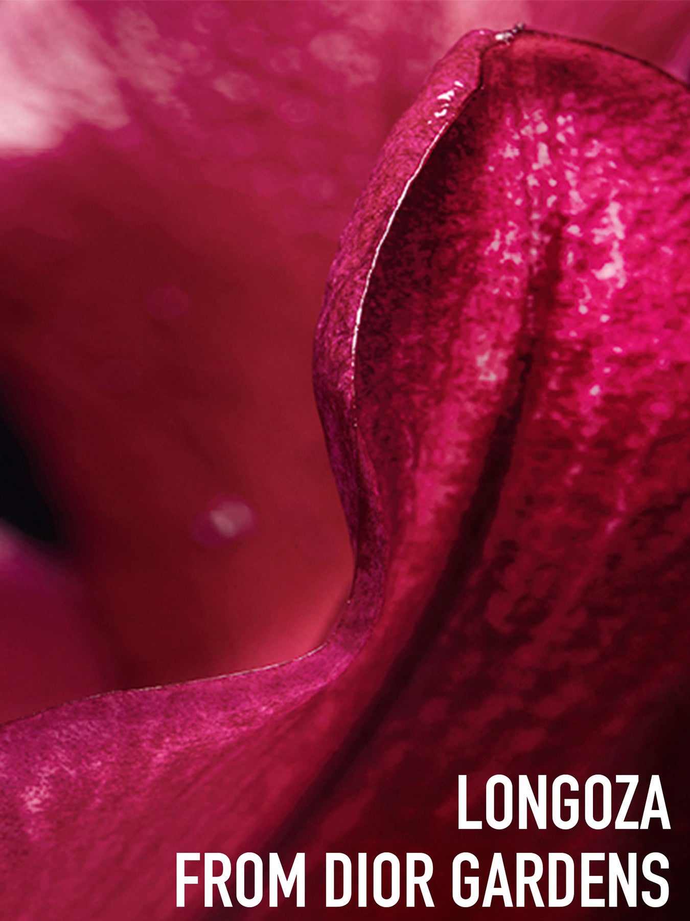 Capture Totale Firming Wrinkle Correcting Eye Cream 15ml