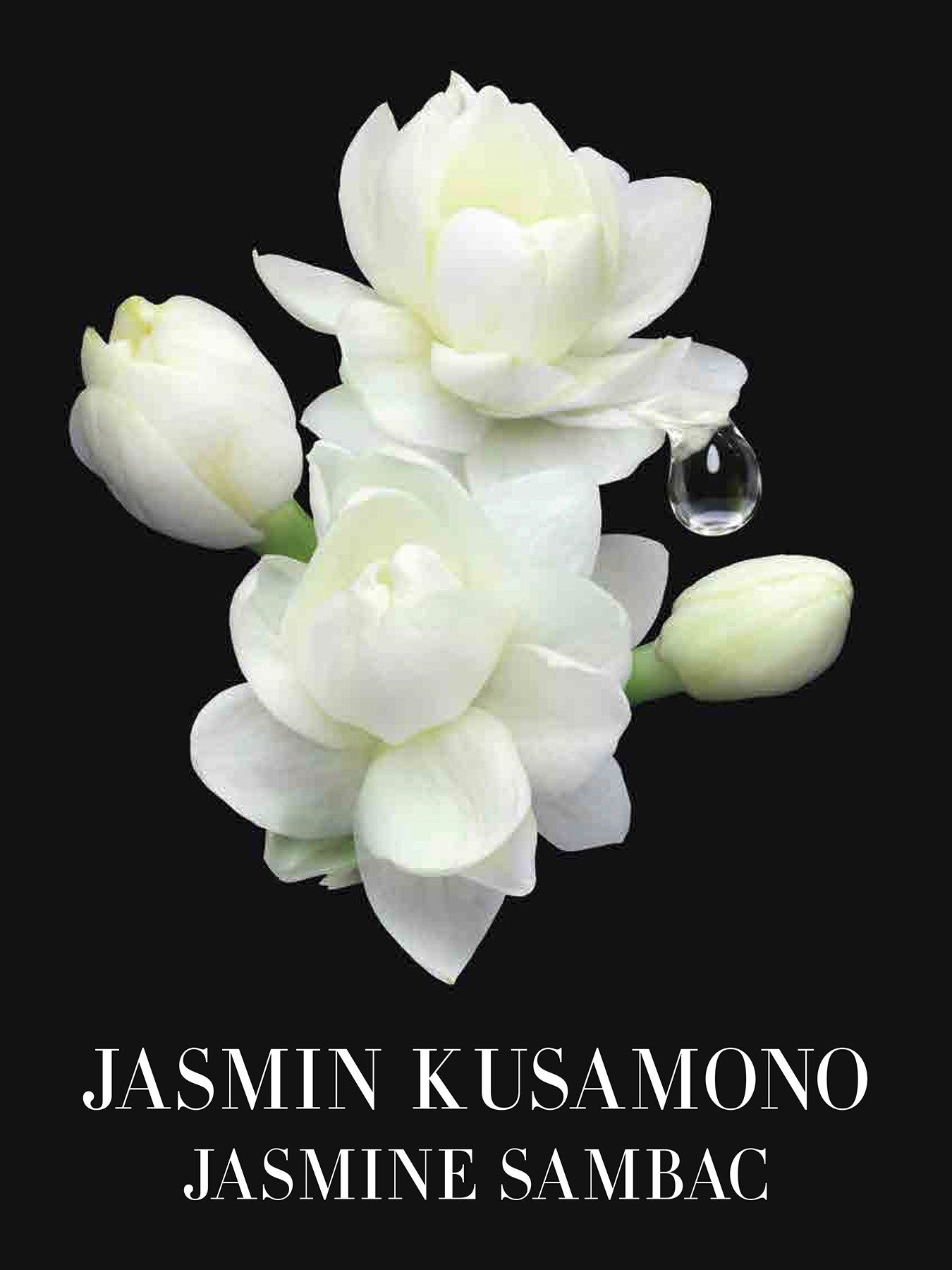Privé Jasmin Kusamono Eau De Toilette 100ml