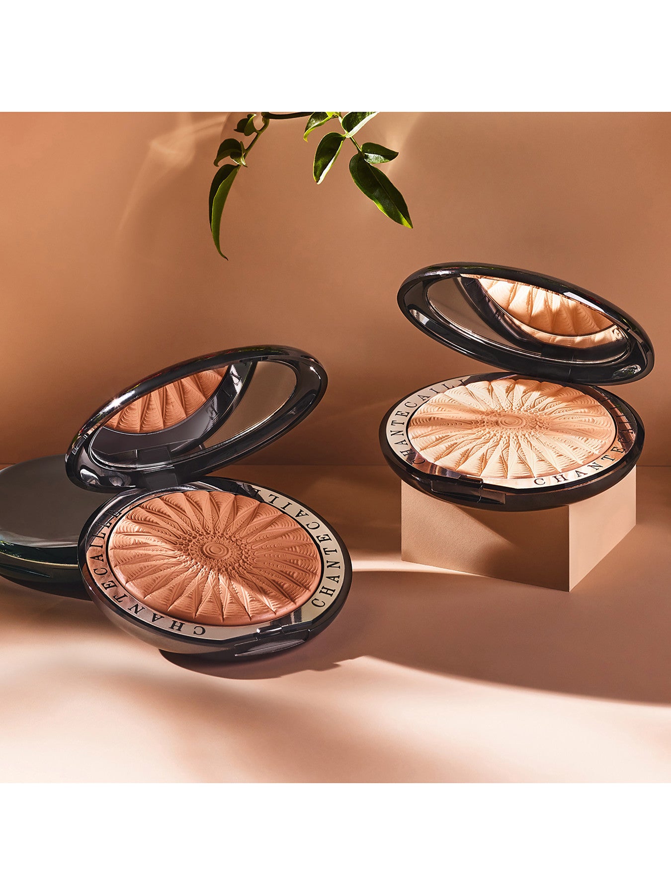 Perfect Blur Finishing Powder Limited Edition