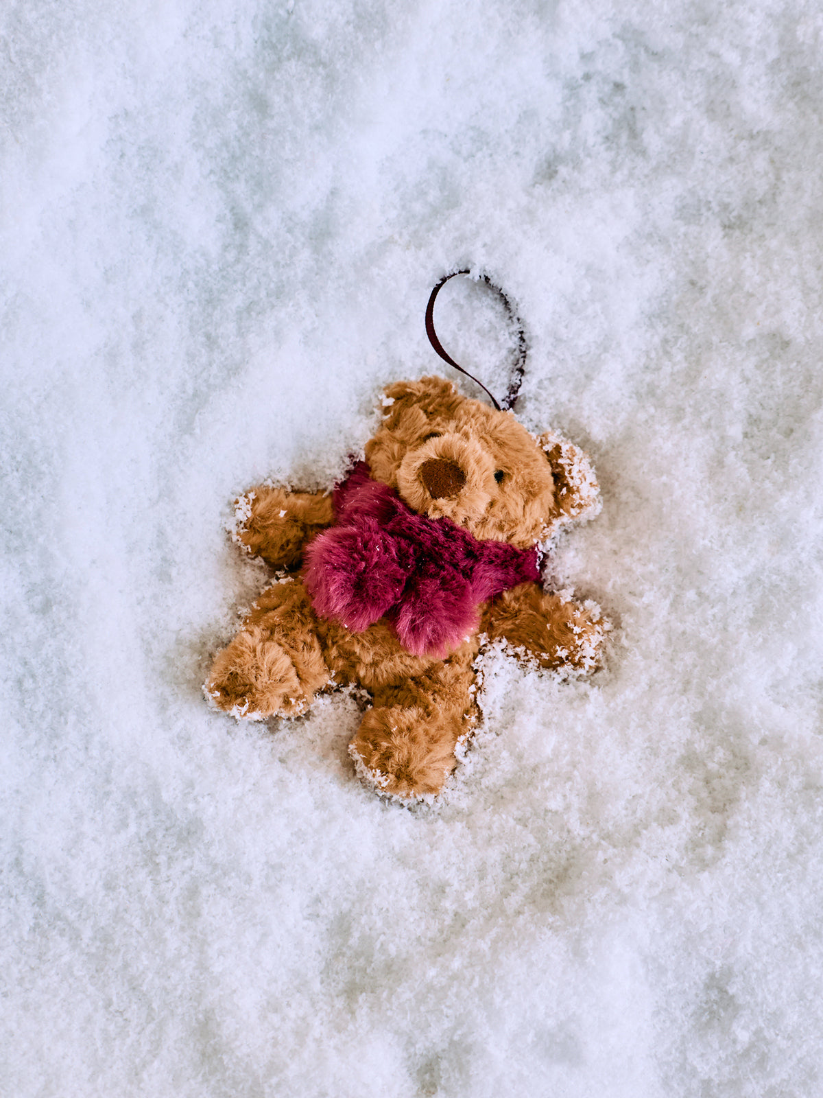 Bartholomew Bear Winter Warmer Decoration