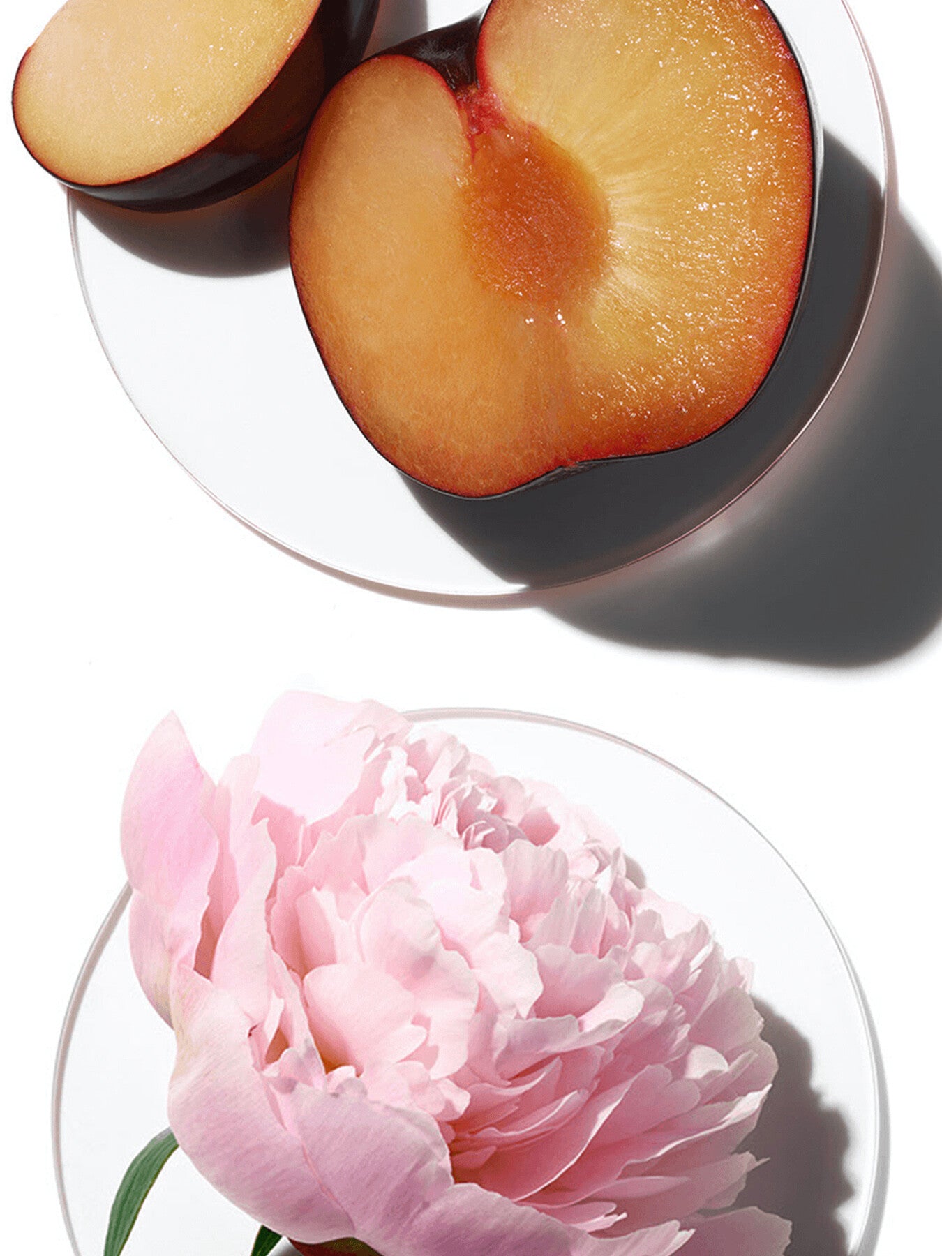 My Happy™ Peony Picnic 100ml