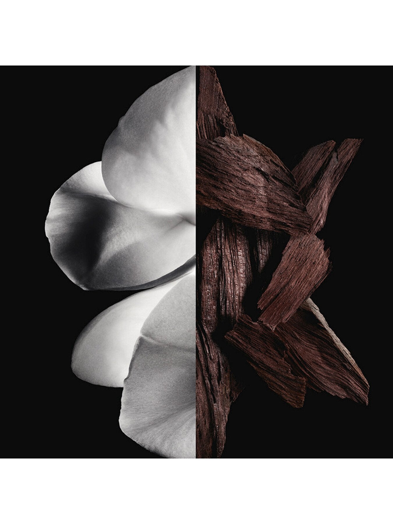 Gentleman Eau de Parfum Boise 100ml