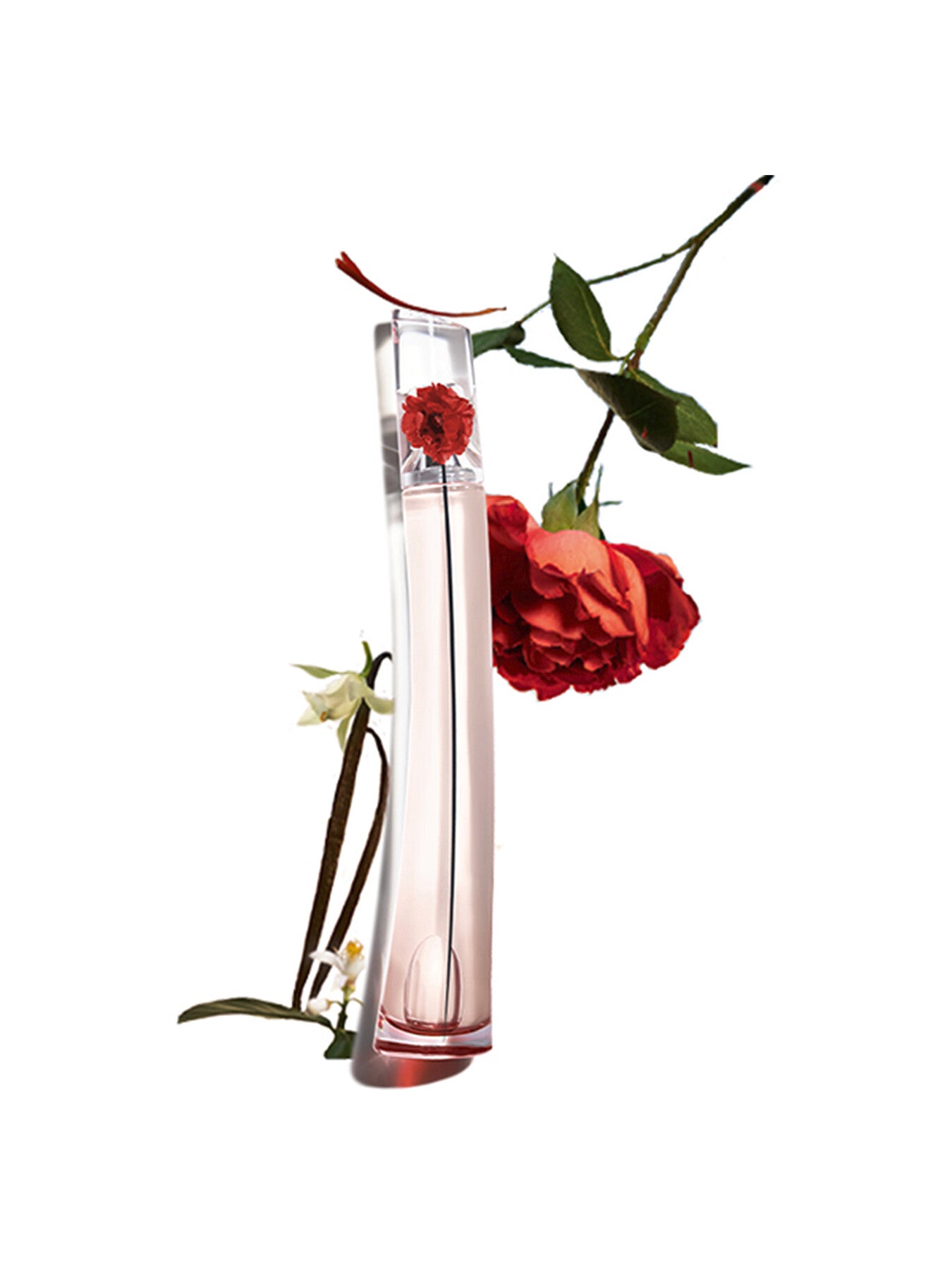 Flower By Kenzo L'Absolue Eau de Parfum 50ml