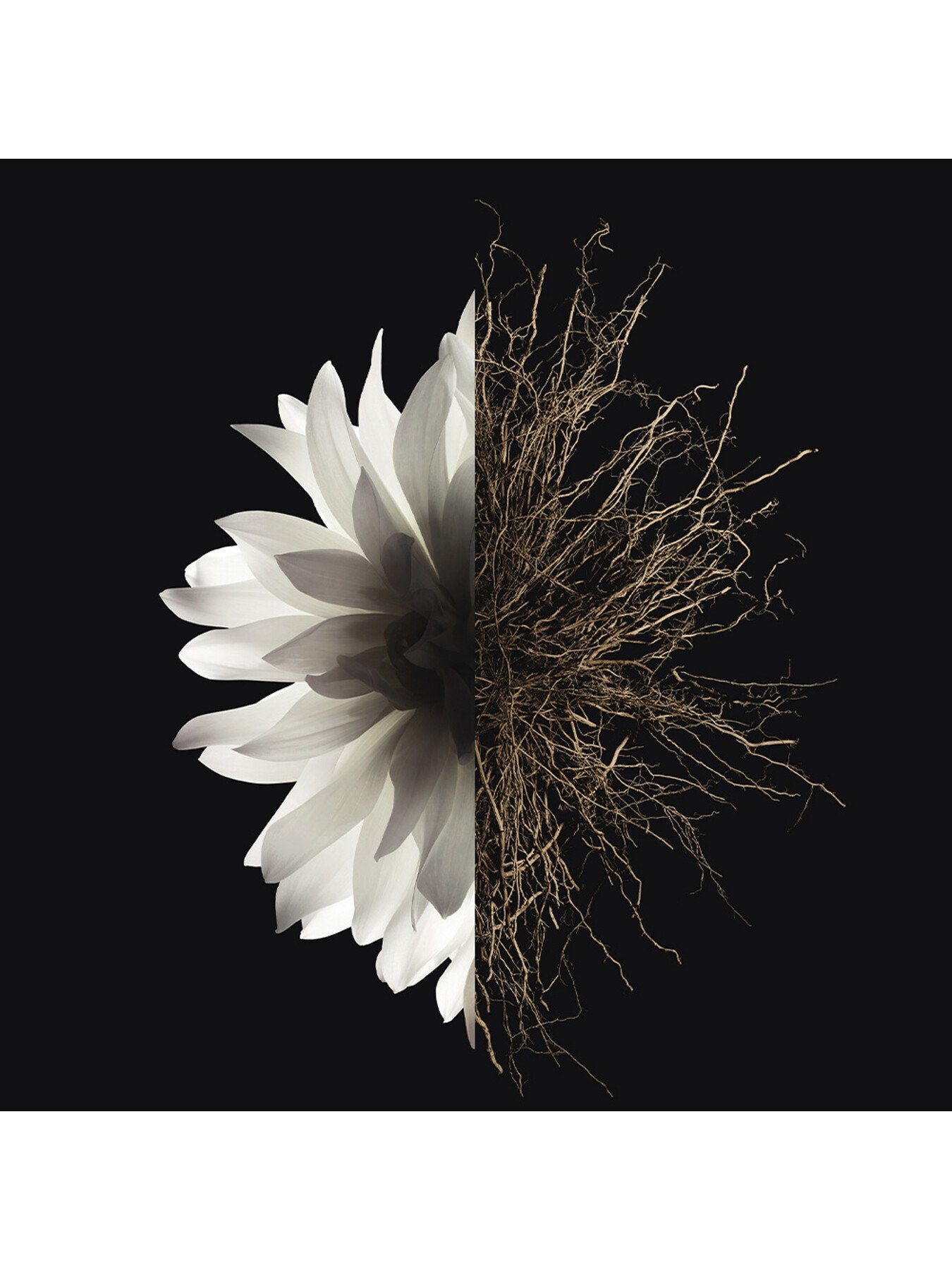 LInterdit The Deodorant 100ml