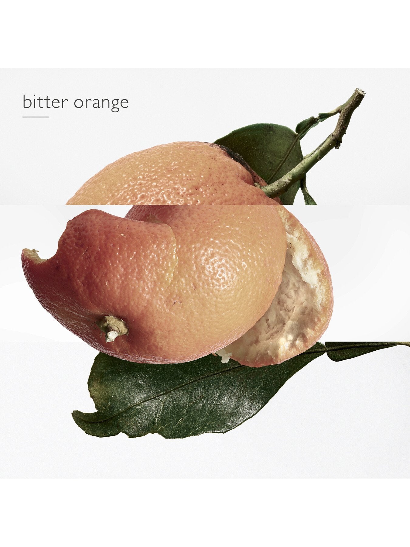 Eau des Merveilles Eau de Toilette 50ml