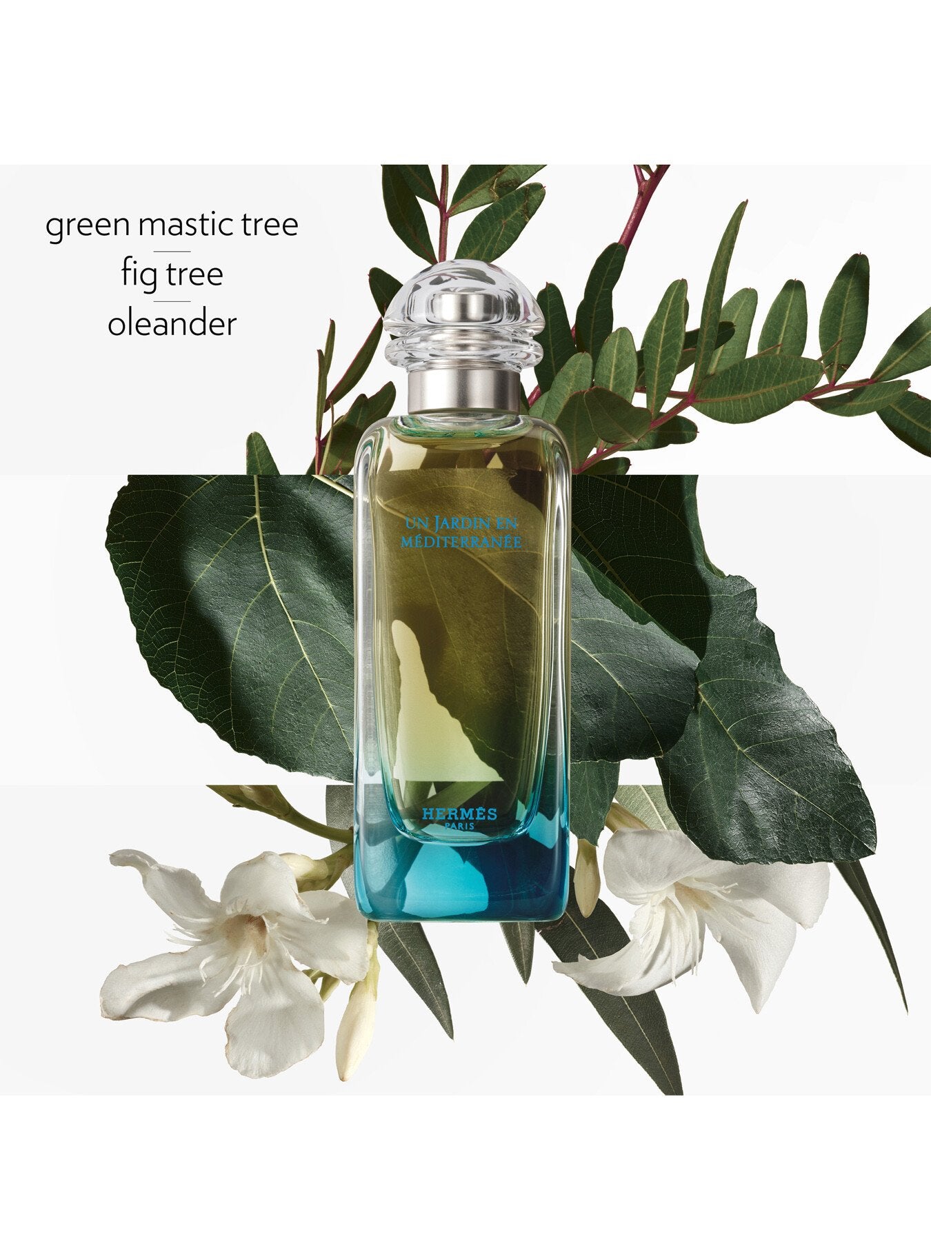 Un Jardin en Méditerranée Eau de Toilette 50ml