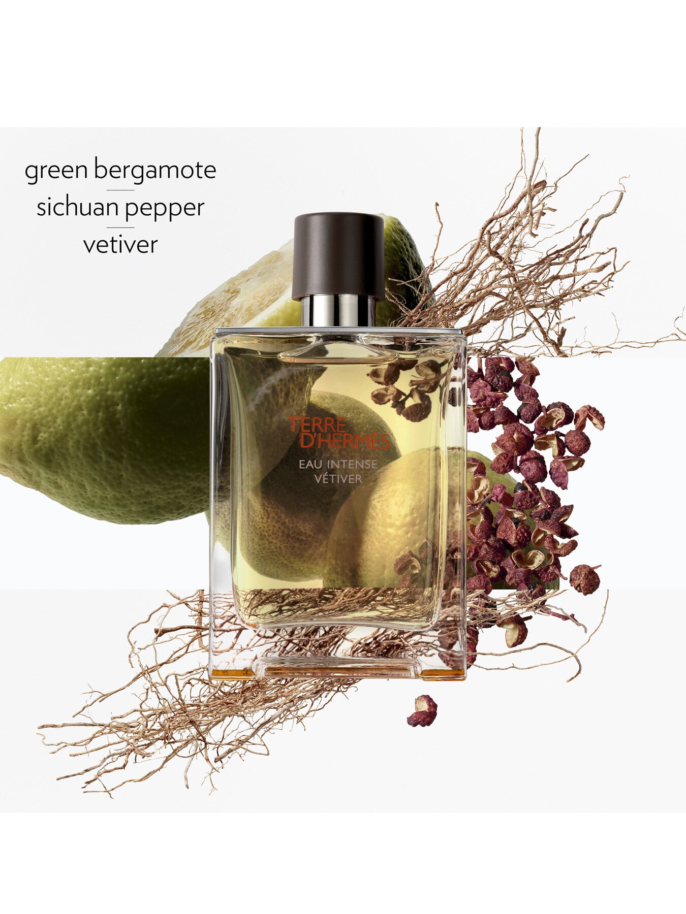 Terre d'Hermès Eau Intense Vétiver Eau de Parfum 50ml