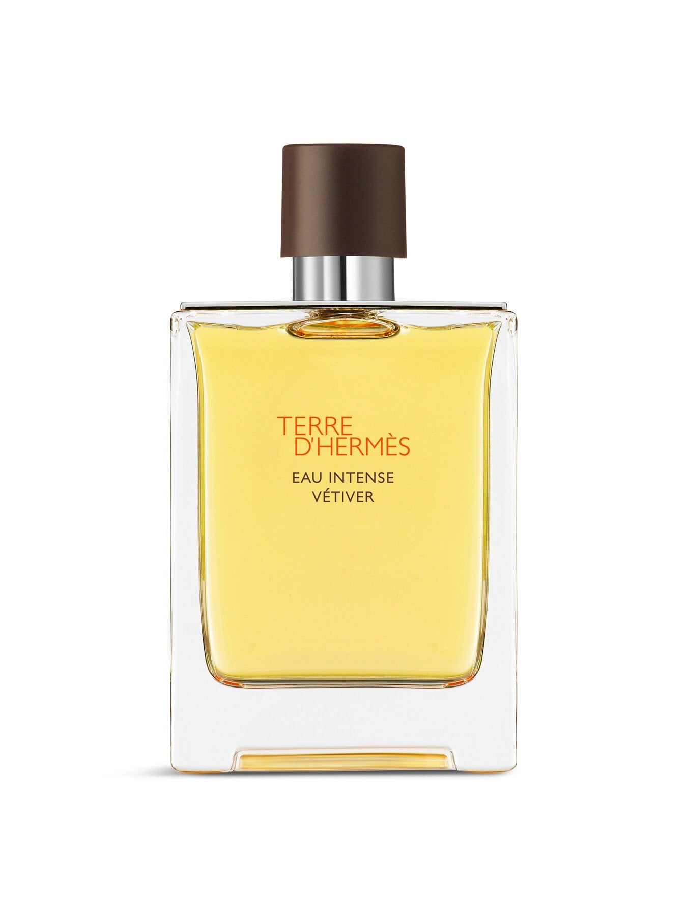 Terre d'Hermès Eau Intense Vétiver Eau de Parfum 100ml