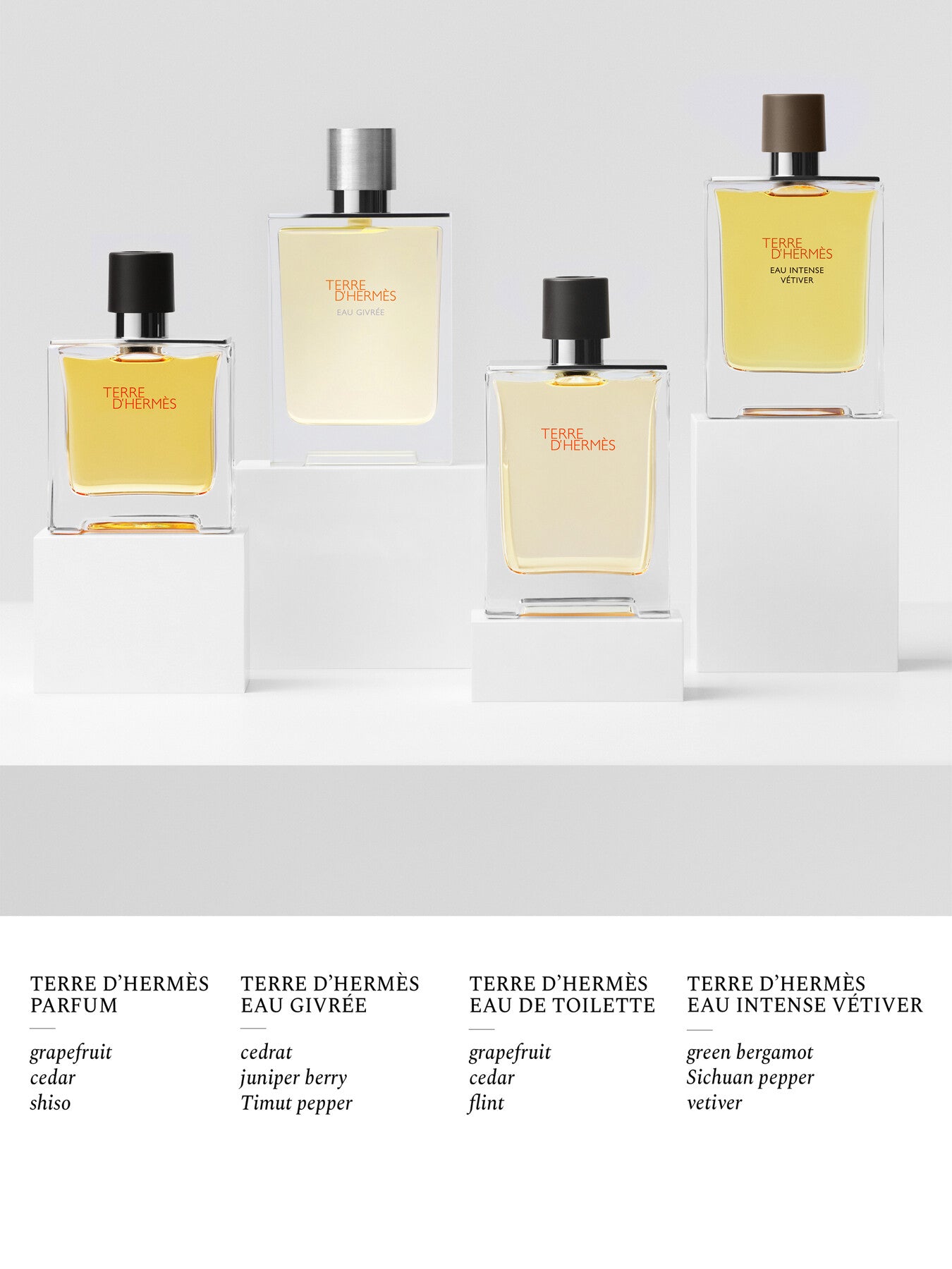 Terre d'Hermès Eau Intense Vétiver Eau de Parfum 100ml