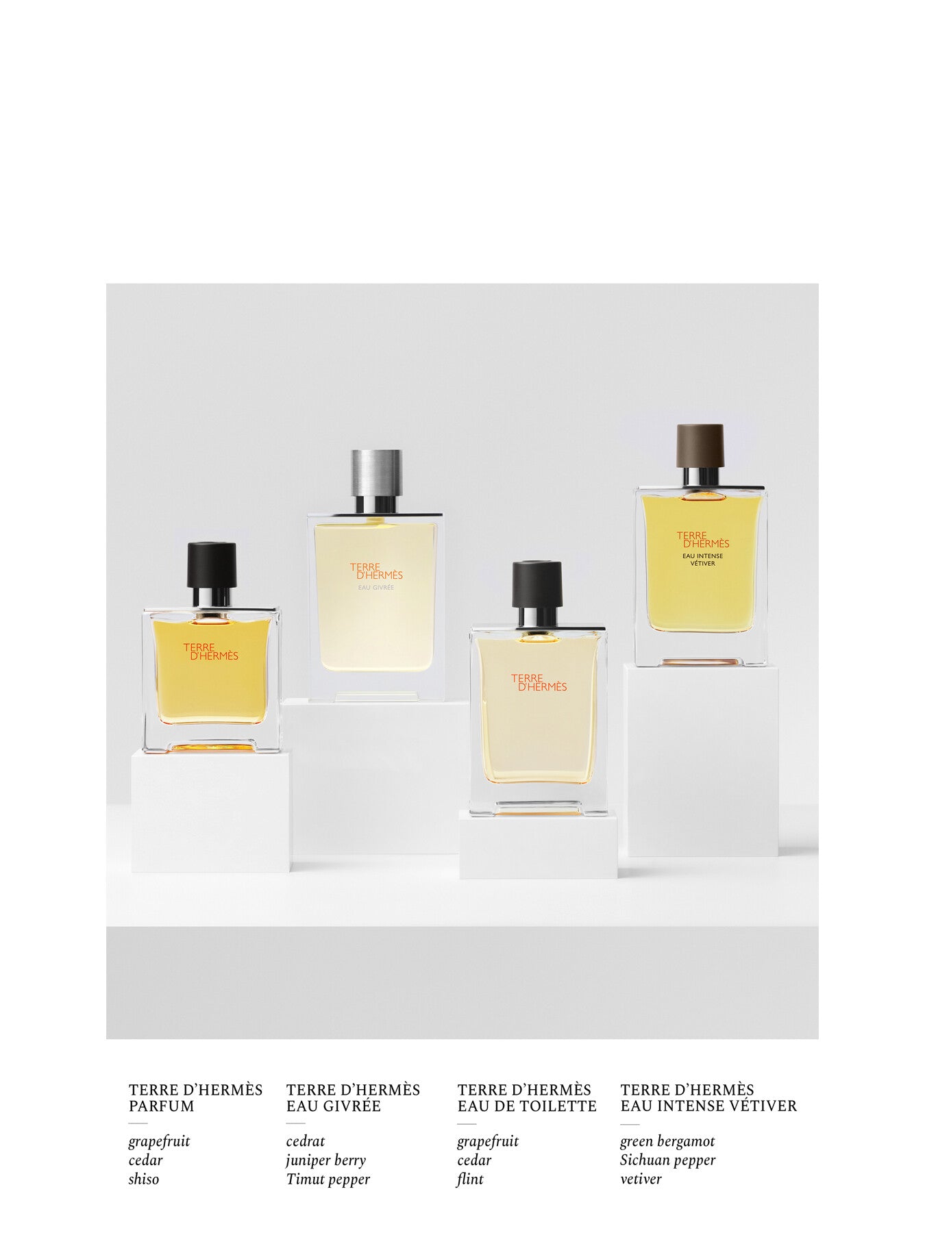 Terre d Hermes Eau Intense Vetiver Eau de Parfum Refill 125ml