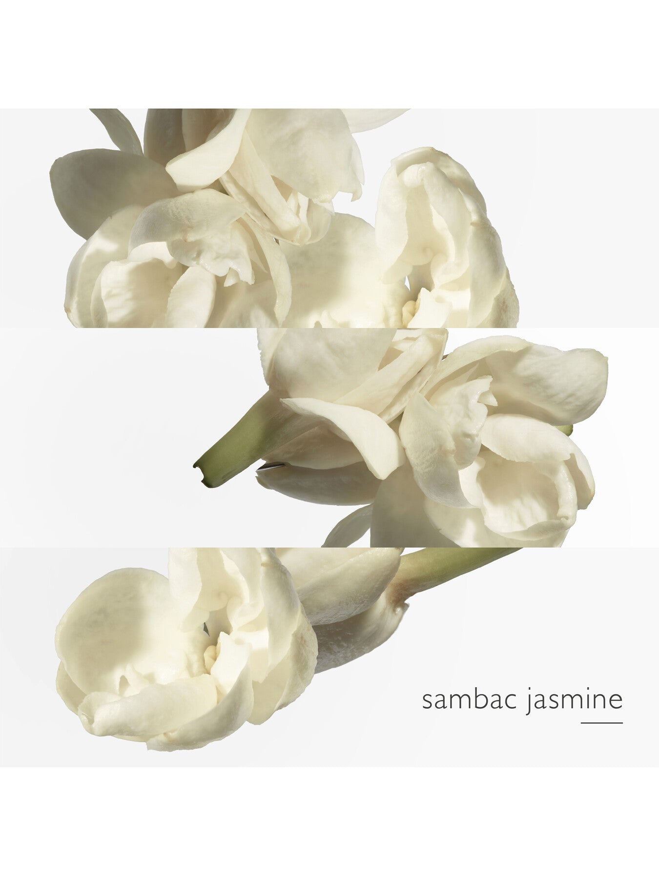 Le Jardin de Monsieur Li Eau de Toilette 100ml