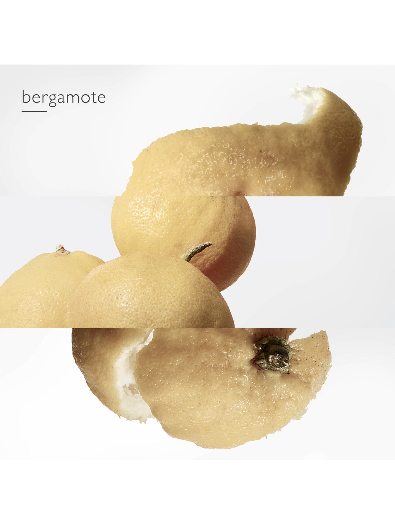 Le Jardin de Monsieur Li Eau de Toilette 100ml