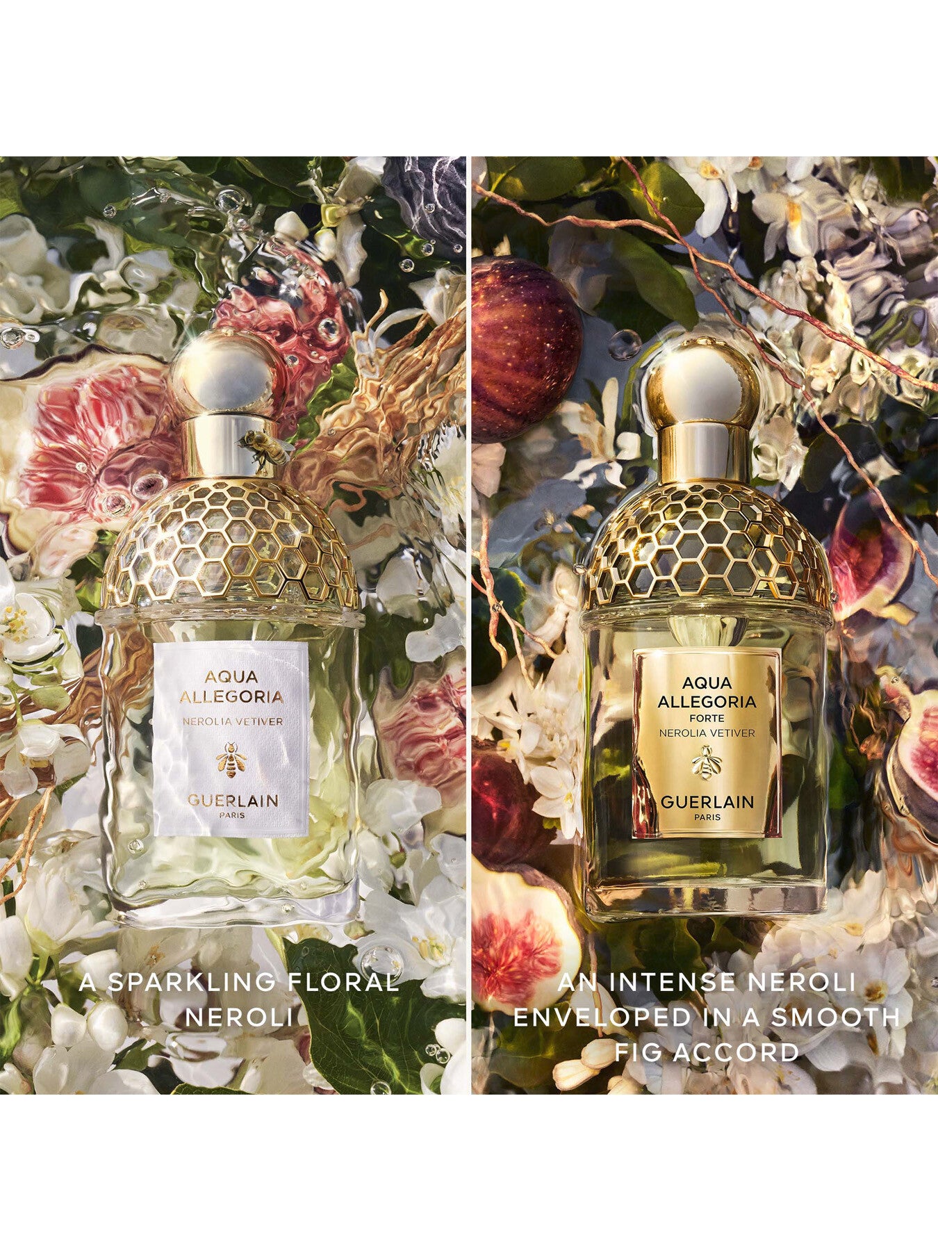 Aqua Allegoria Forte Nerolia Vetiver Eau de Parfum 75ml