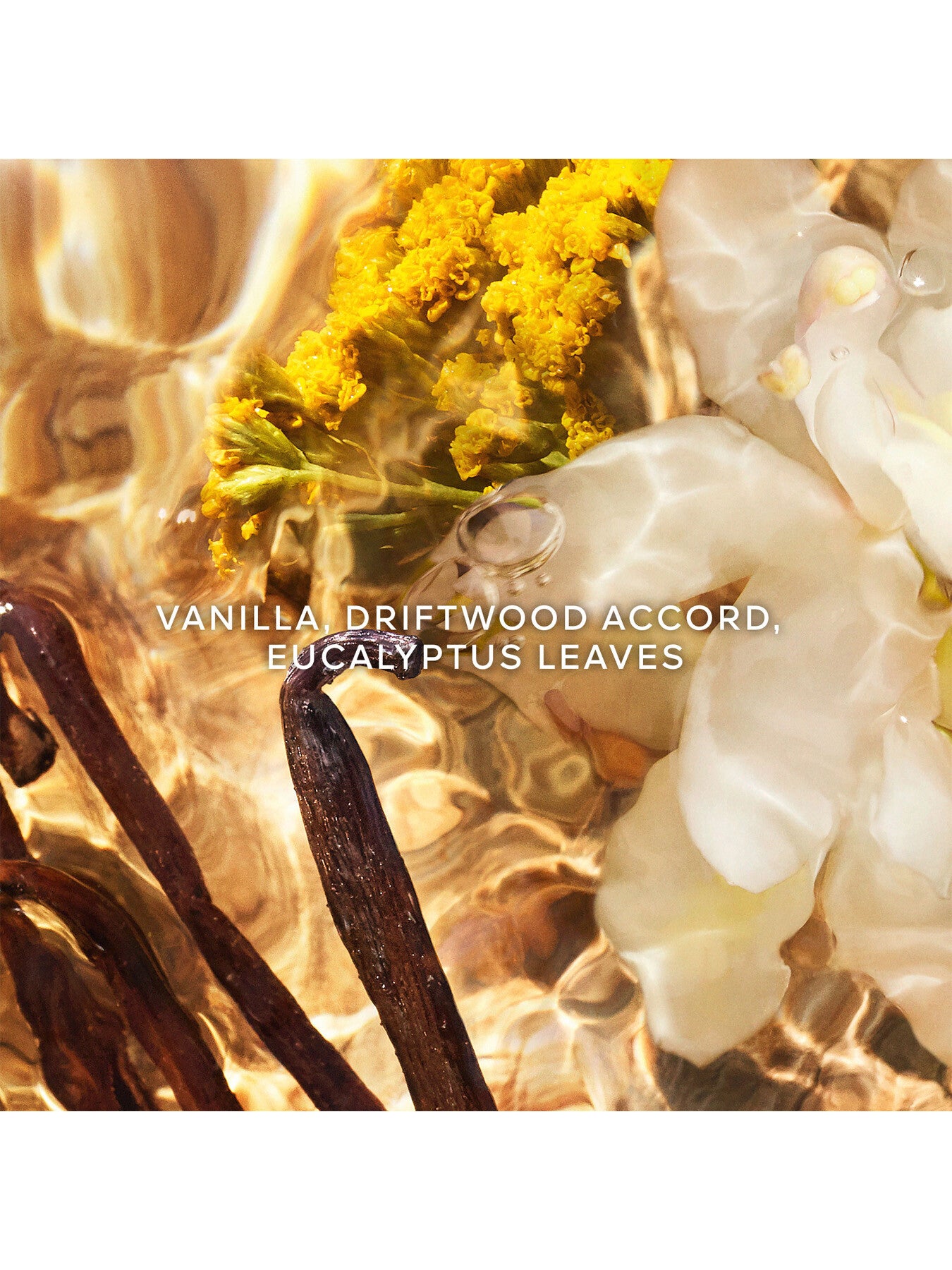 Aqua Allegoria Bosca Vanilla Eau de Parfum 125ml