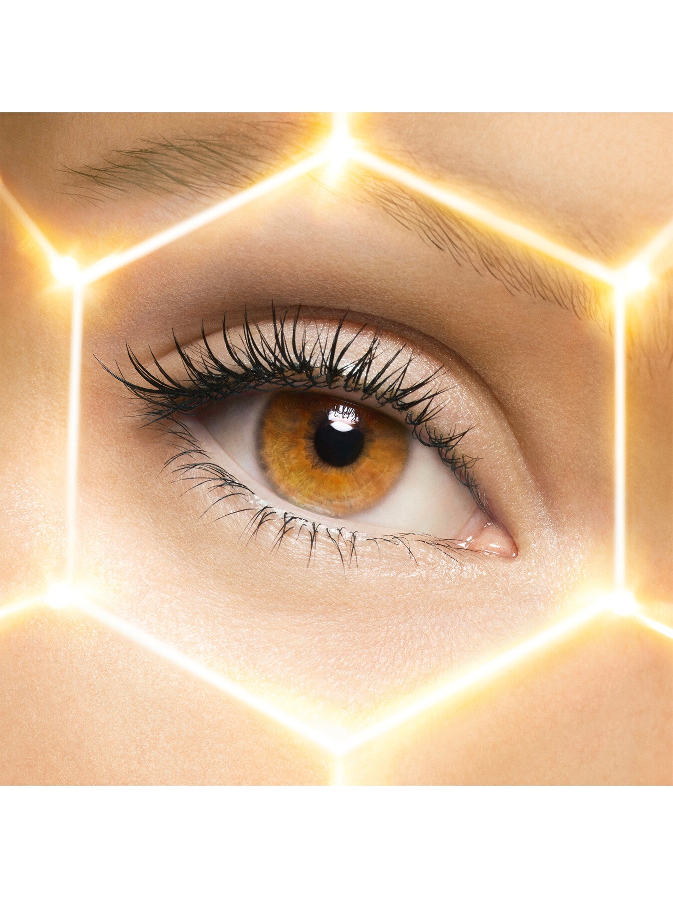 Abeille Royale Double R Eye Serum 20ml