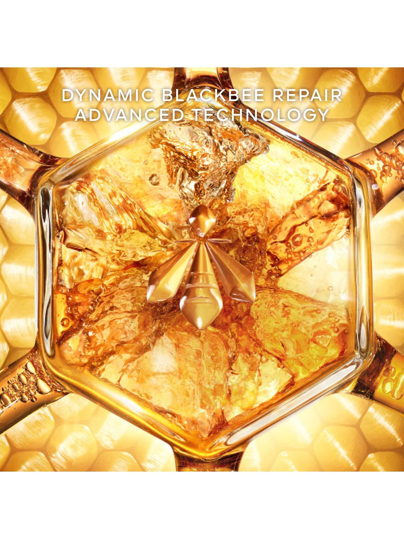 Abeille Royale Day Cream 50ml Refill
