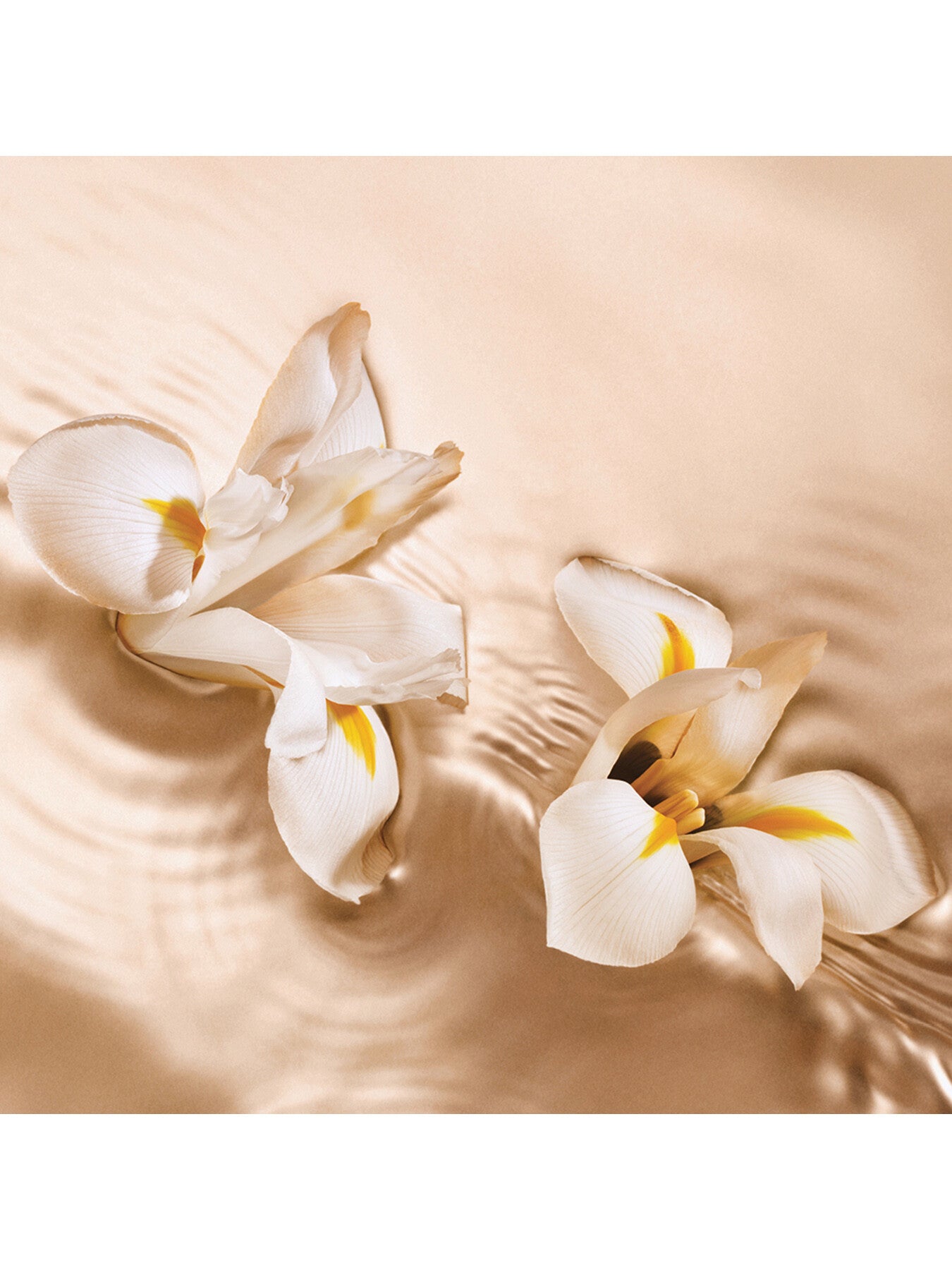 Seduction Iris Crush Eau de Parfum 125ml