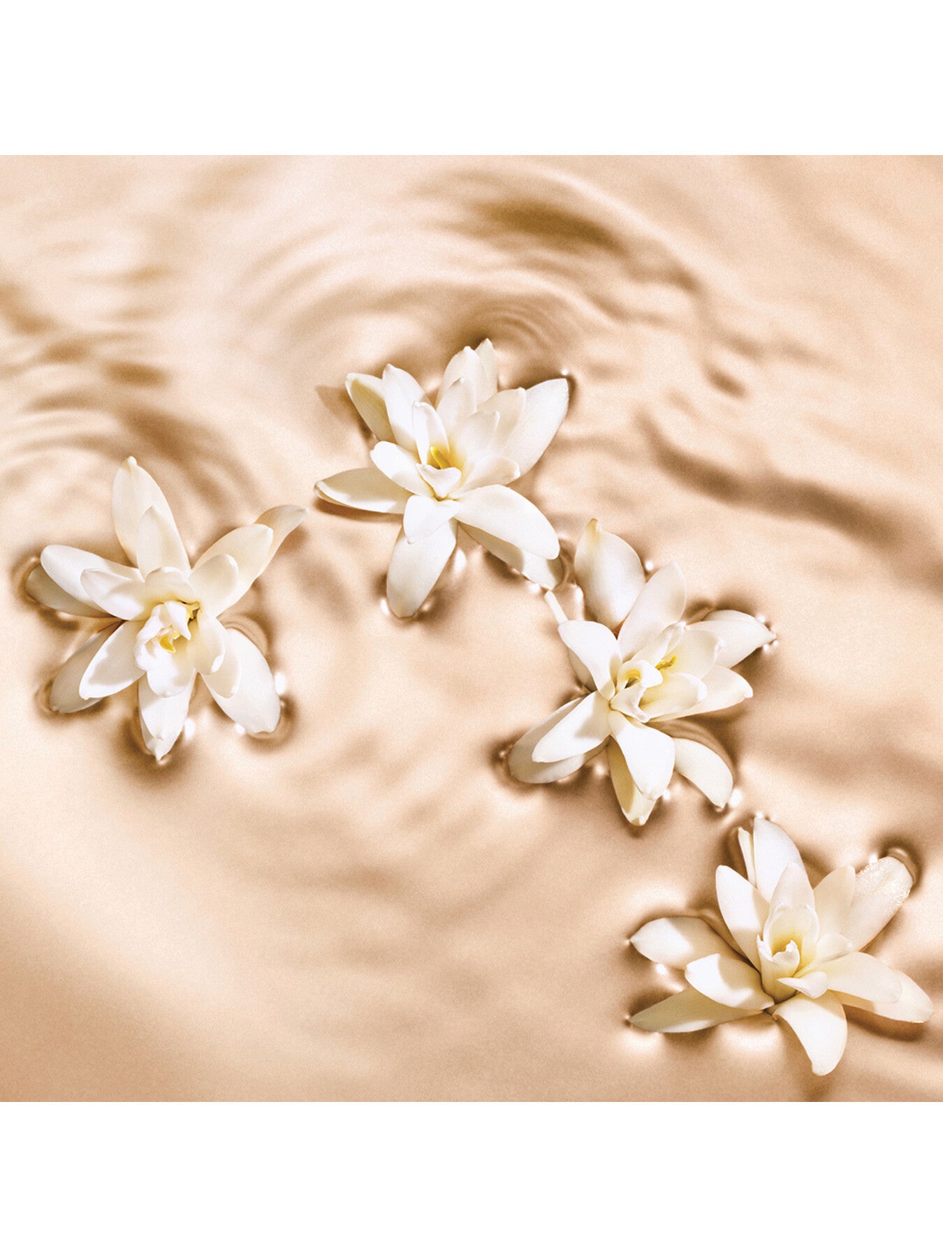 Seduction Radiant Tuberose Eau de Parfum 125ml