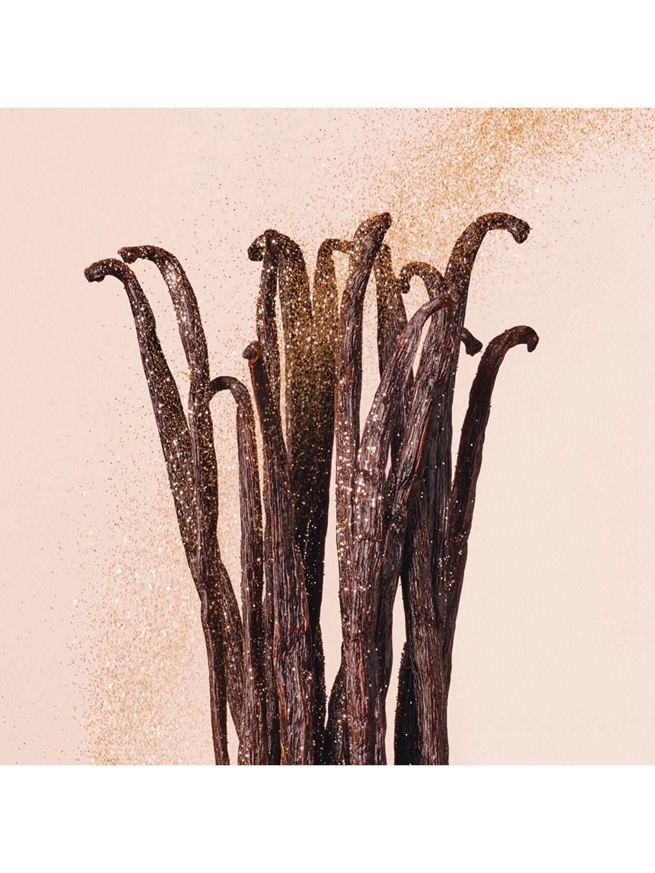 Seduction Vanilla Love Eau de Parfum 125ml