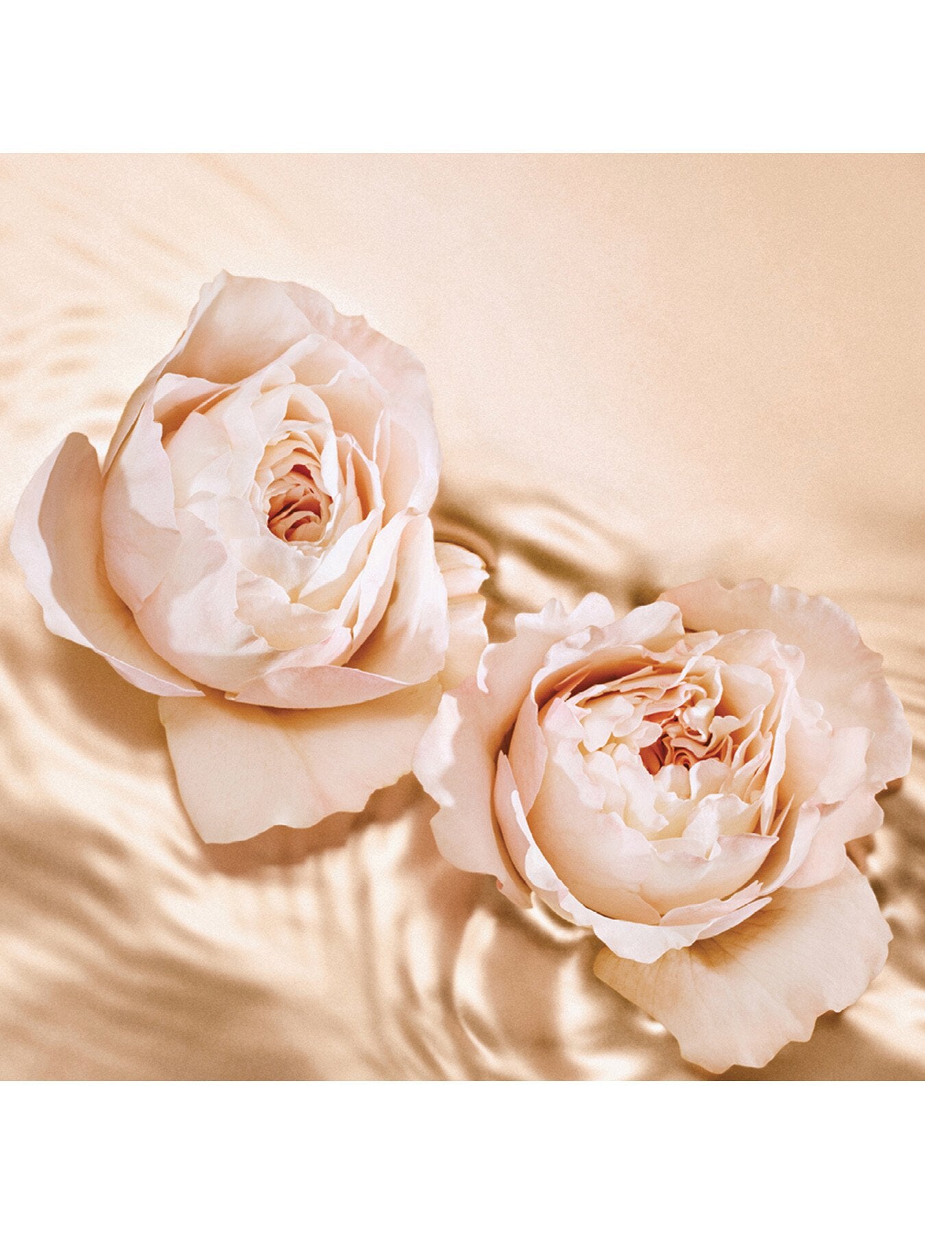 Seduction Tempting Rose Eau de Parfum 125ml