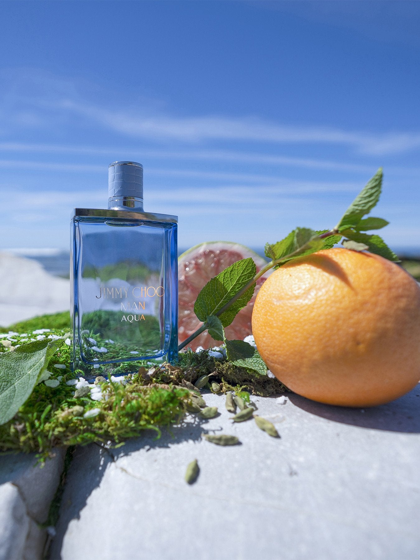 Man Aqua Eau de Toilette 100ml