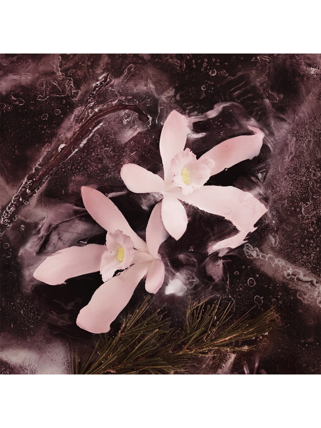 Les Sommets Haute Montagne Eau de Parfum 200ml