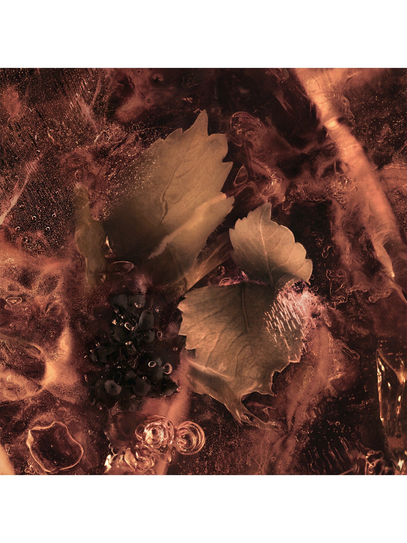 Les Sommets Les Roches Noires Eau de Parfum 100ml