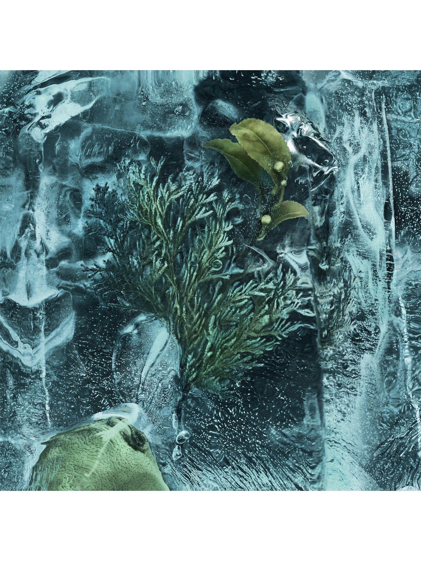 Les Sommets La Cordée Eau de Parfum 100ml