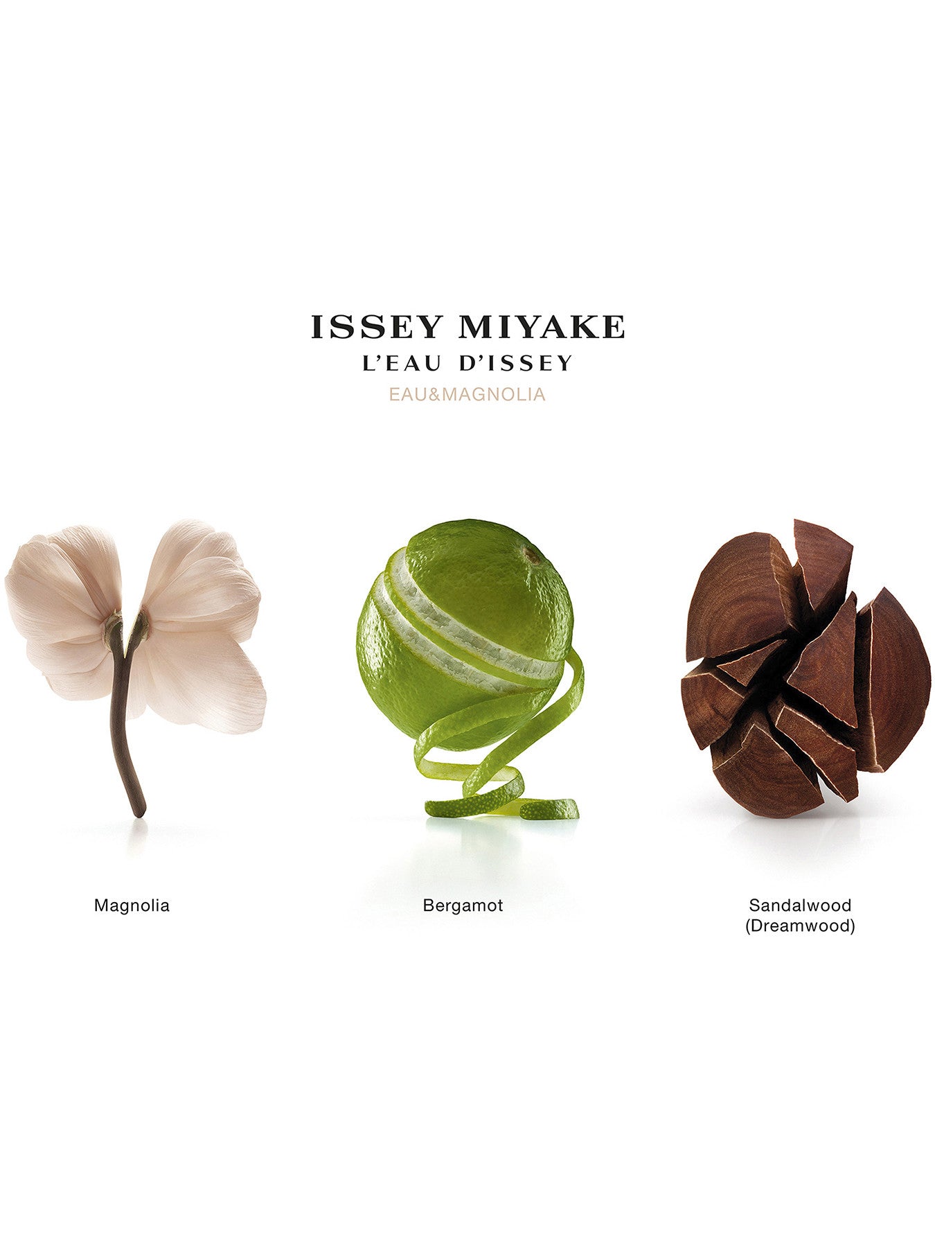 L'Eau d'Issey Eau Magnolia Eau de Toilette Intense 100ml