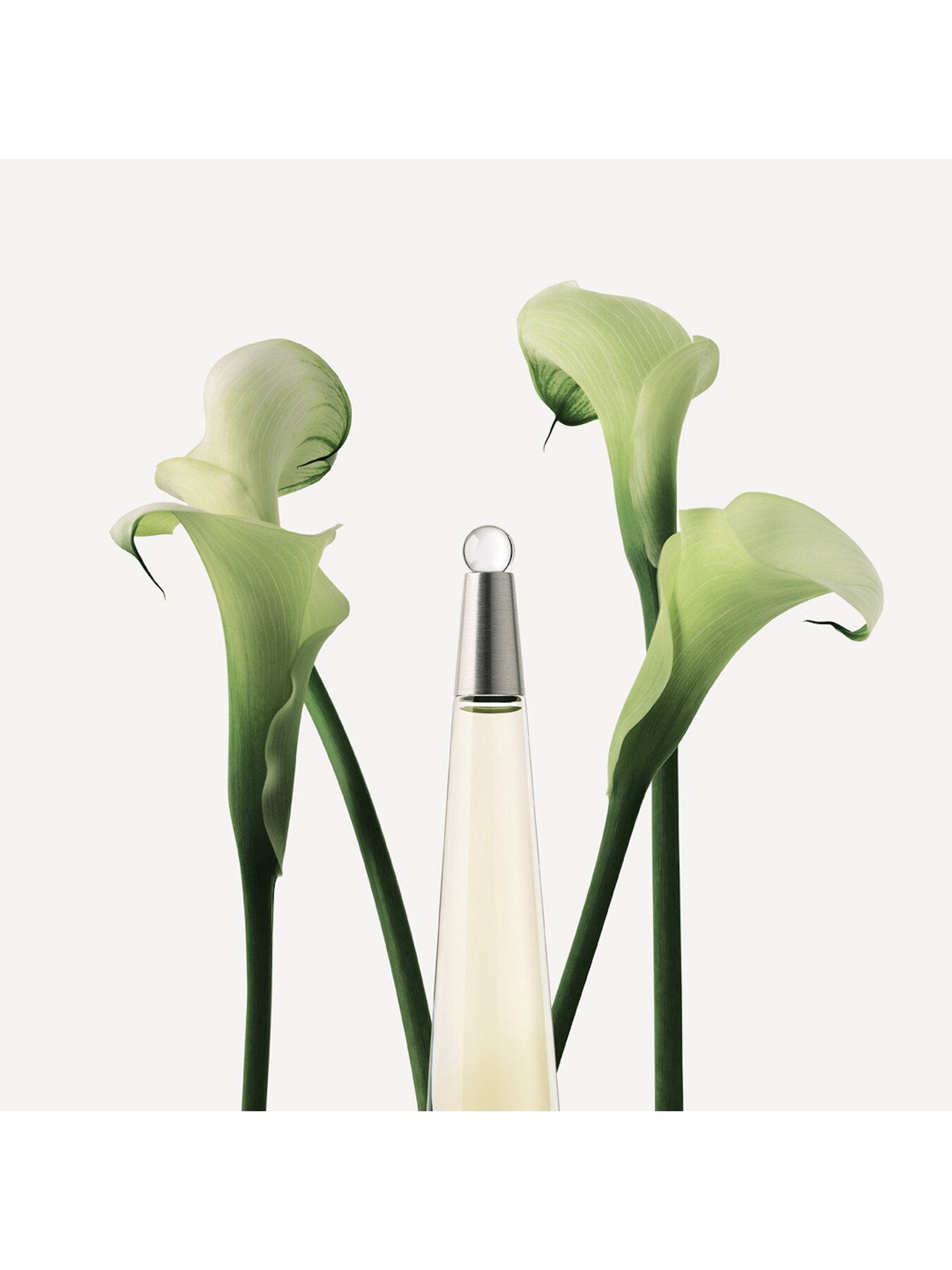 L'Eau d'Issey Eau de Toilette 50ml