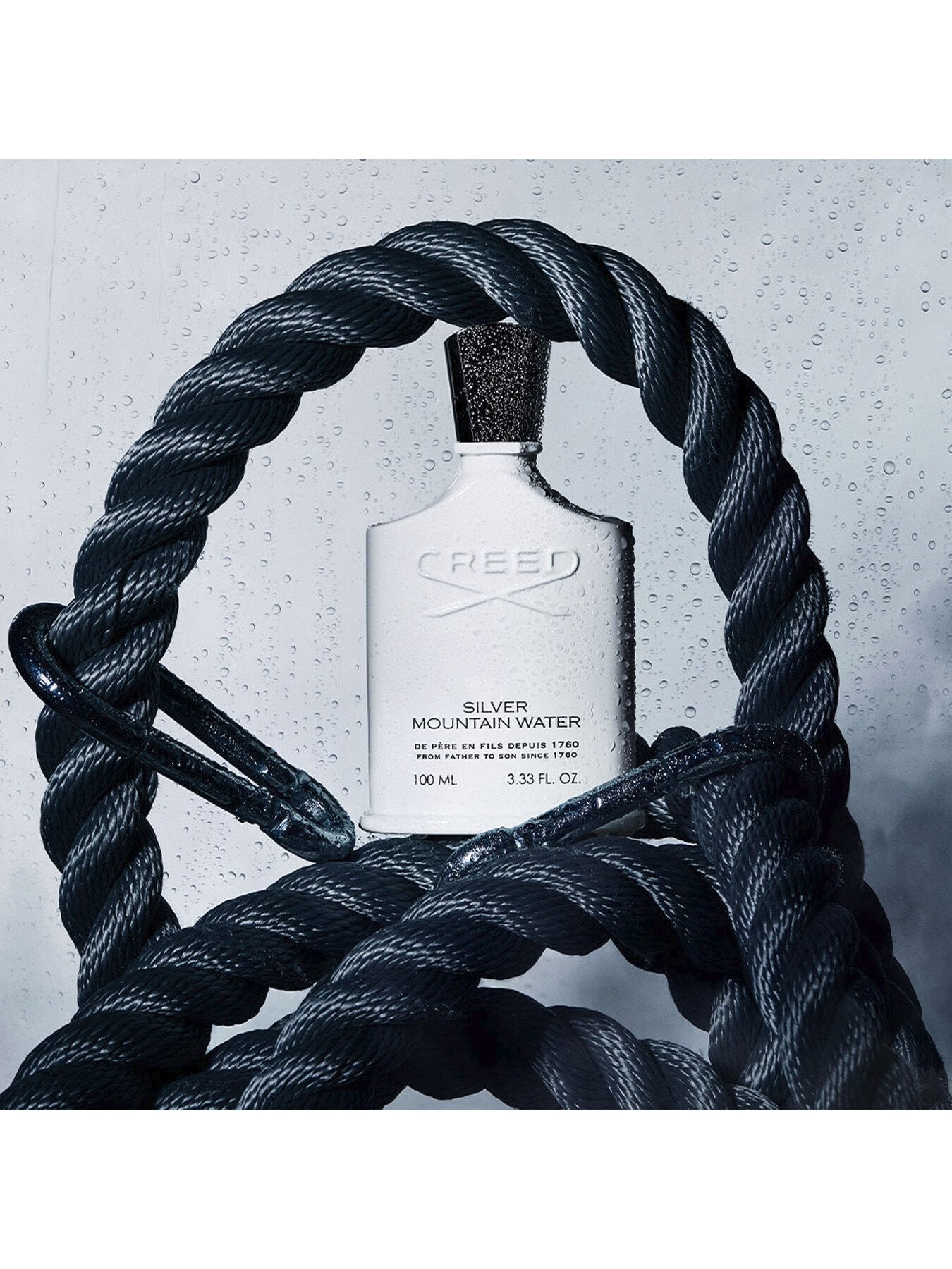 Silver Mountain Water Eau de Parfum 50ml