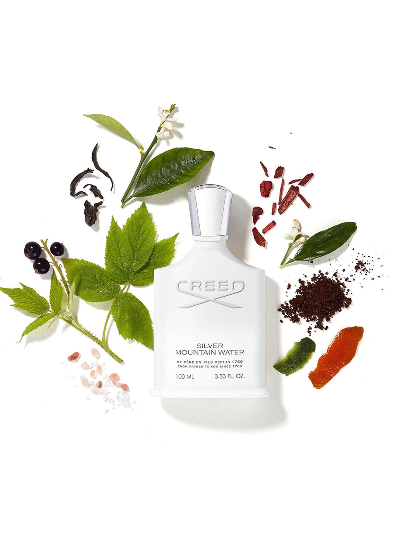 Silver Mountain Water Eau de Parfum 100ml