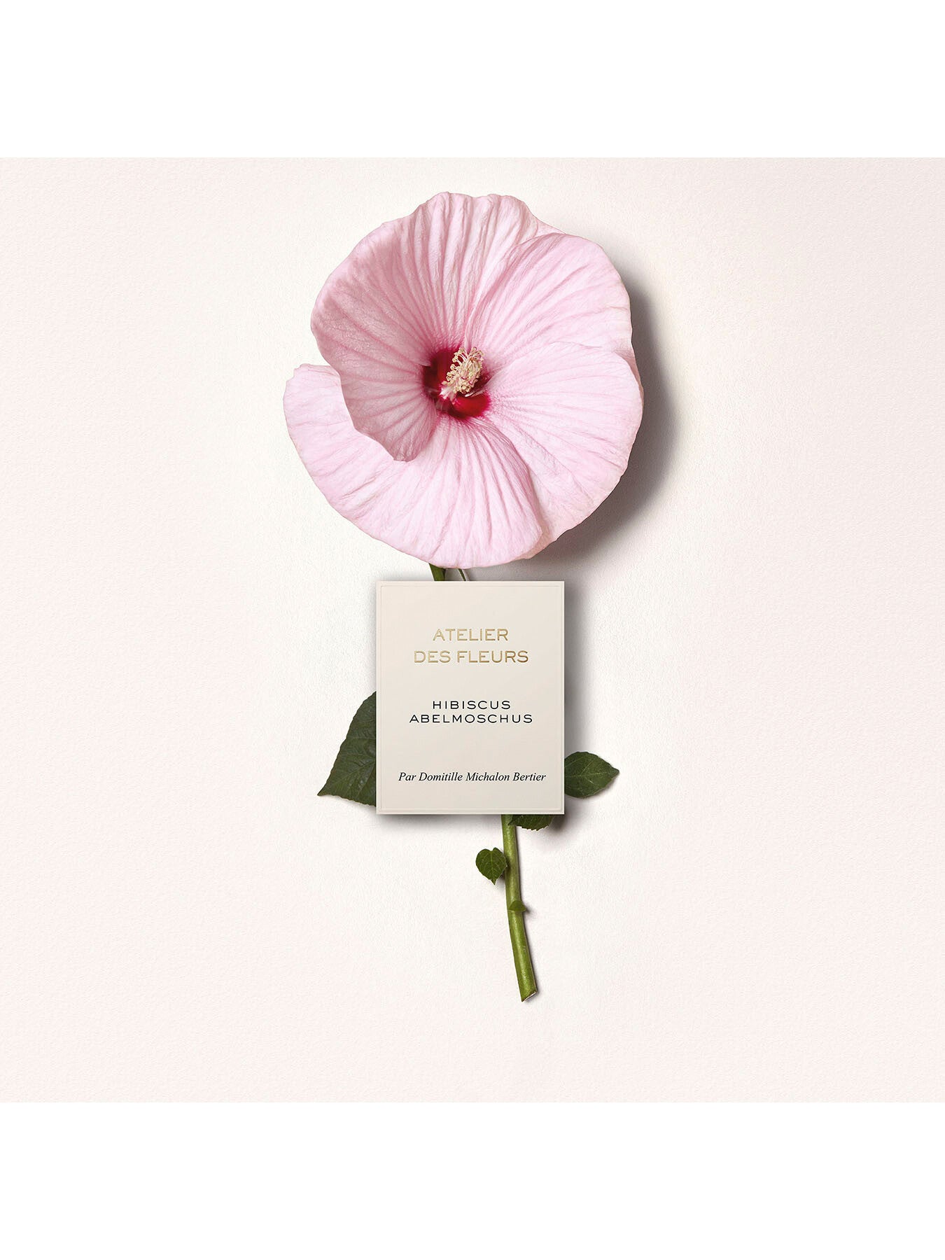 Atelier Des Fleurs Hibiscus Abelmoschus Eau de Parfum 50ml