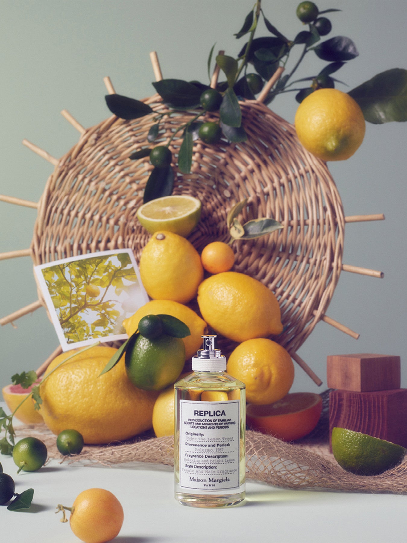 Replica Under The Lemon Tree Eau de Toilette 100ml