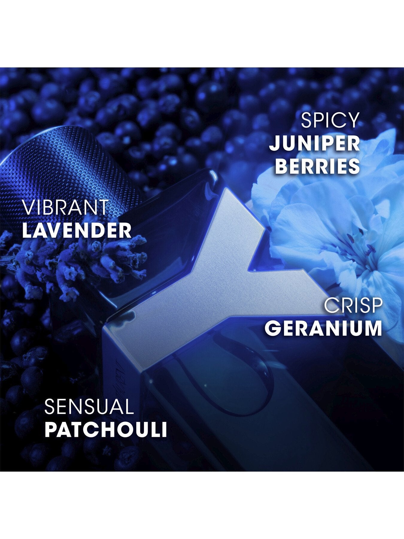 Y Eau de Parfum Intense 100ml