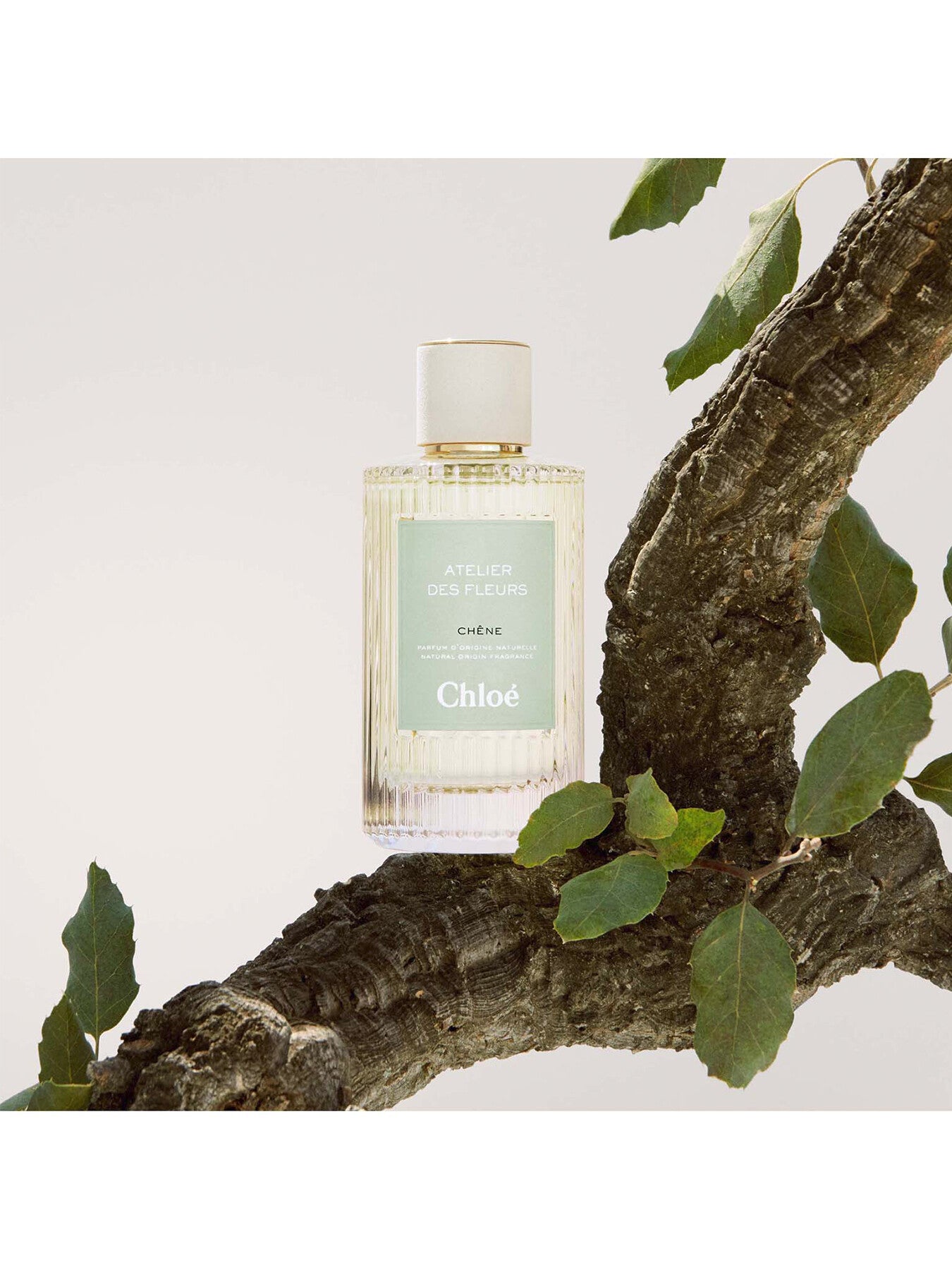 Atelier Des Fleurs Chene Eau de Parfum 150ml