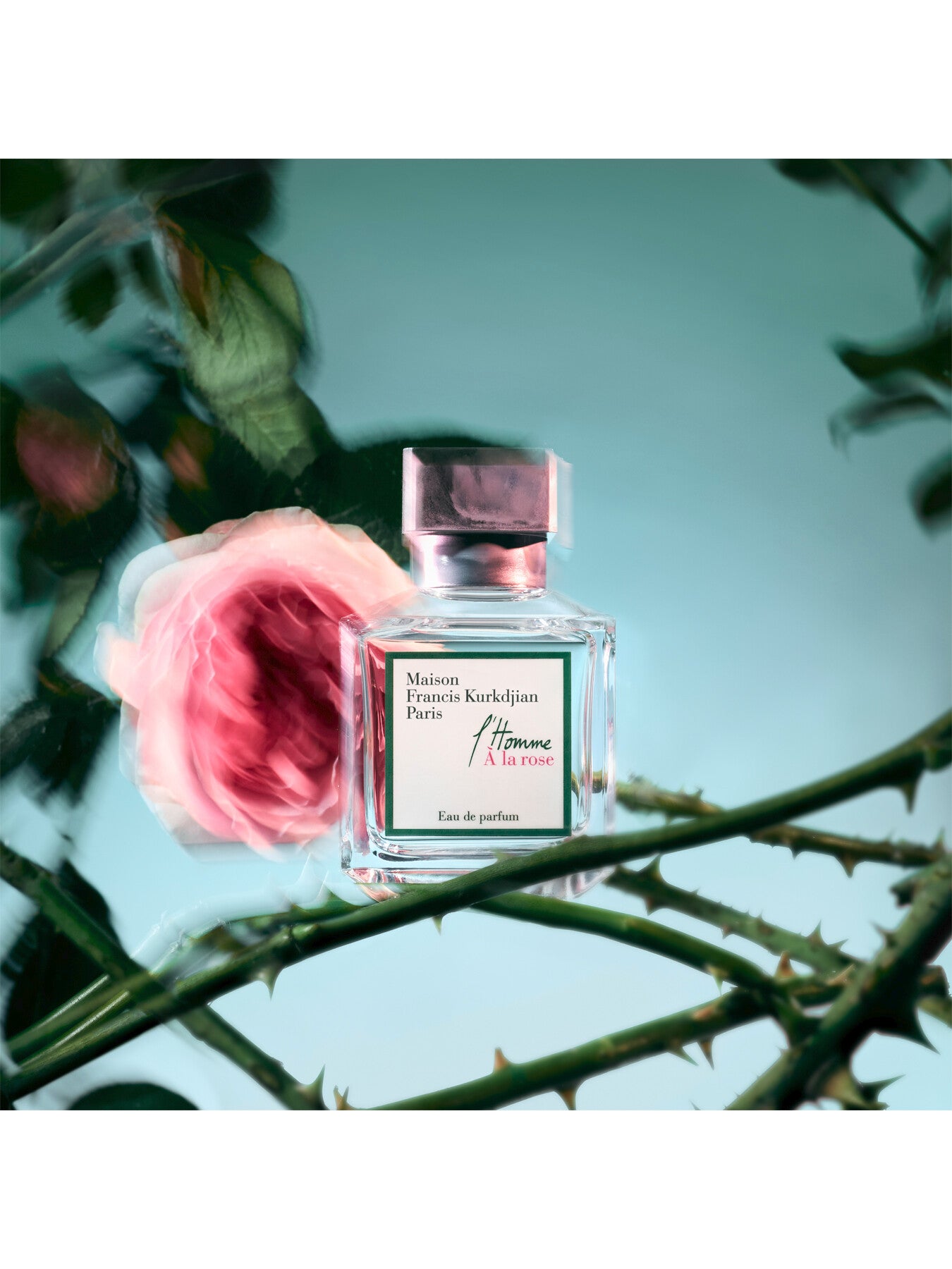 l'Homme À la rose Eau de Parfum 70ml