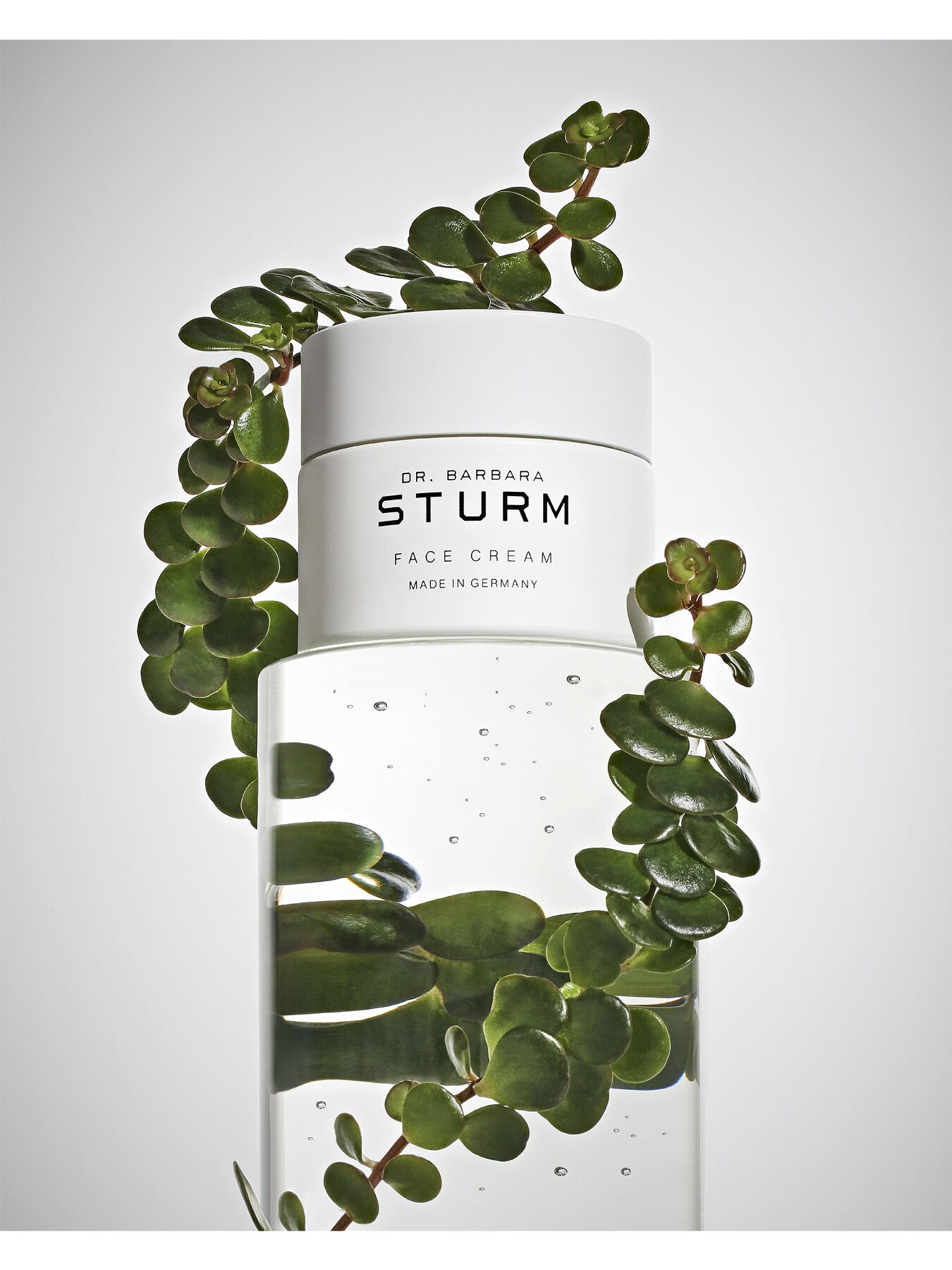 Face Cream