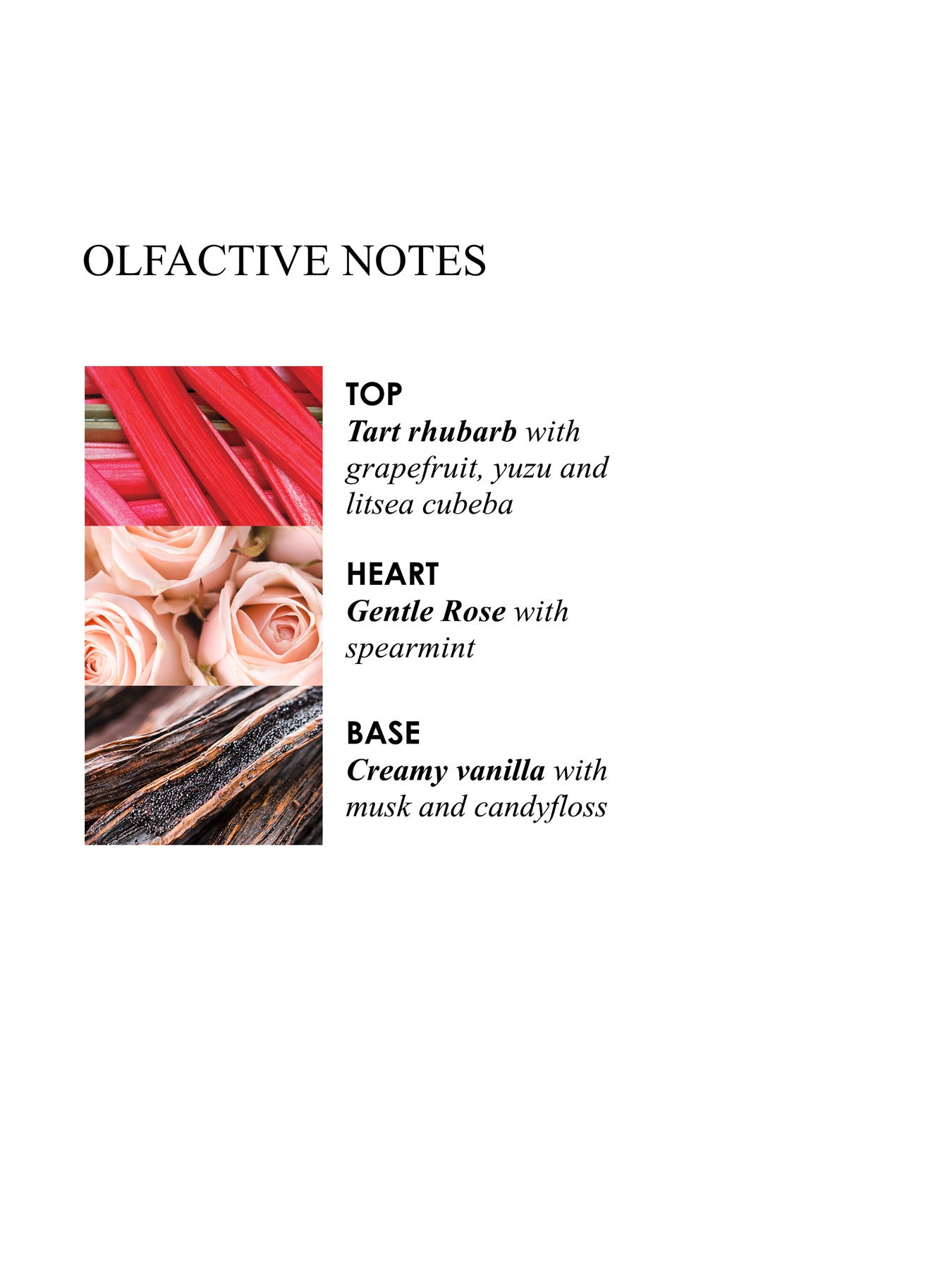 Delicious Rhubarb Rose Aroma Reeds Refill 150ml