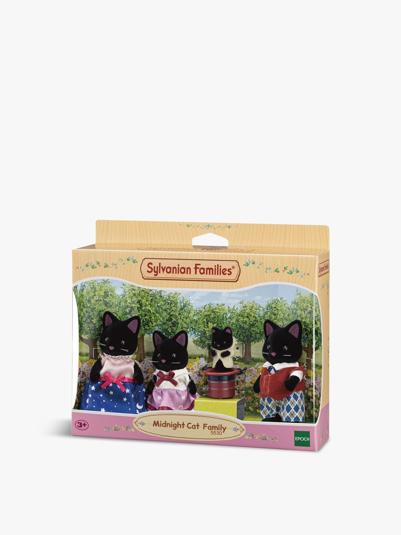 Midnight Cat Family
