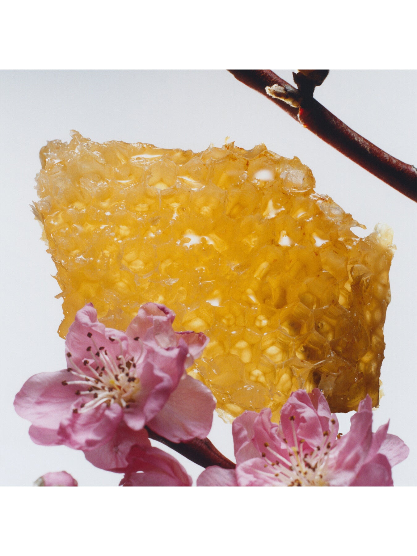 Nectarine Blossom and Honey Home Candle 200g